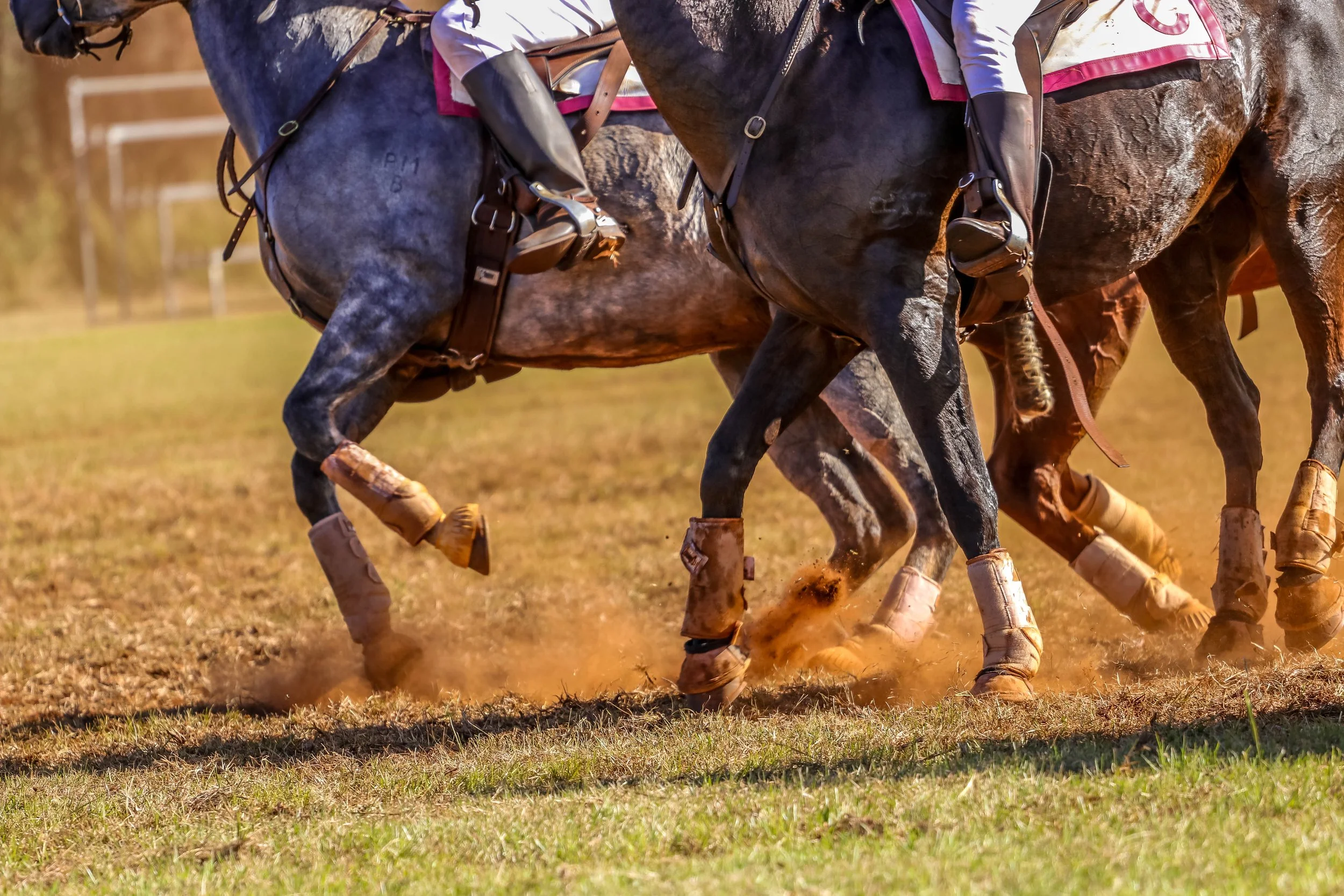 Close-up of three horses galloping on a dirt and grass field, with riders in equestrian gear on their backs, wearing boots and riding pants.