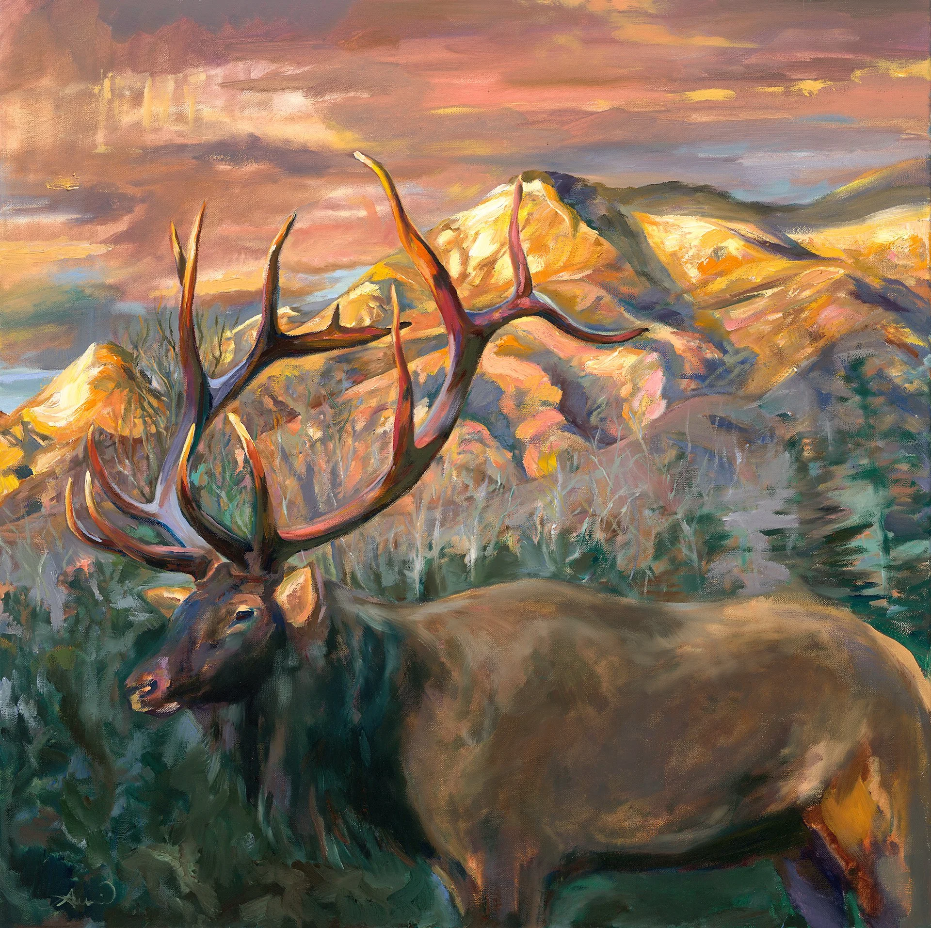 AVAILABLE  - 
Prince of the Peaks 
30"X30" 
Oil on. Canvas
