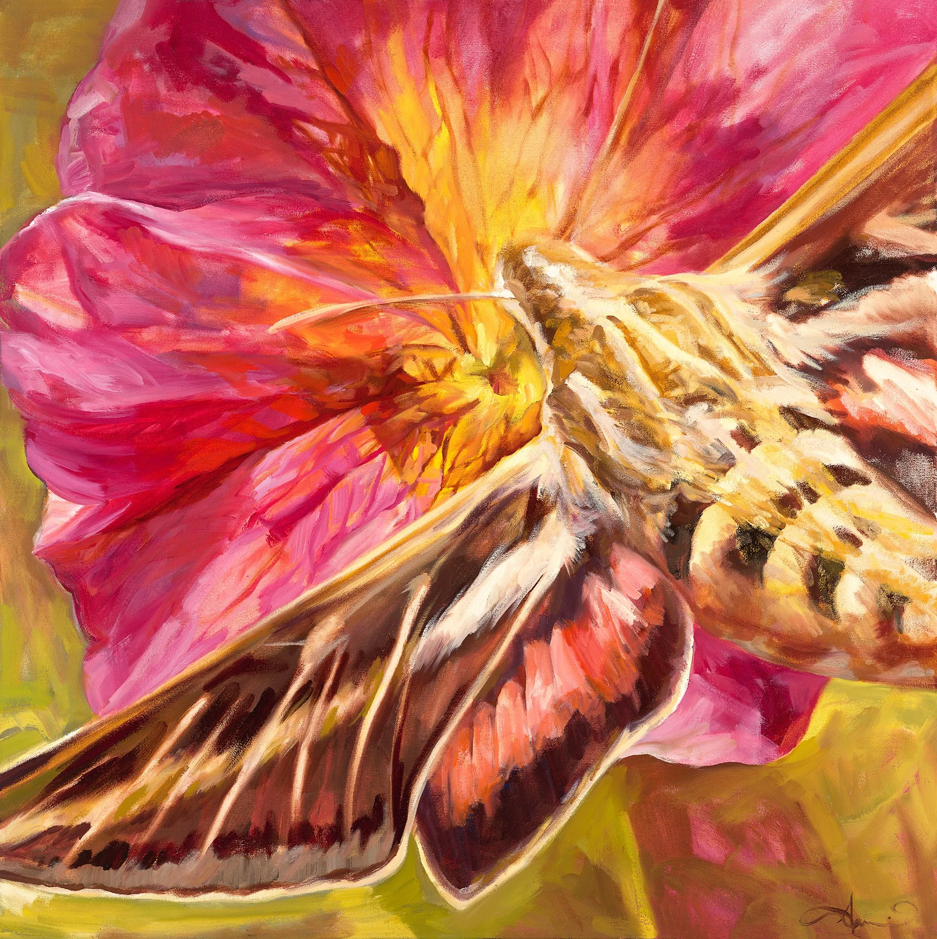 heart of the sunrise.jpg