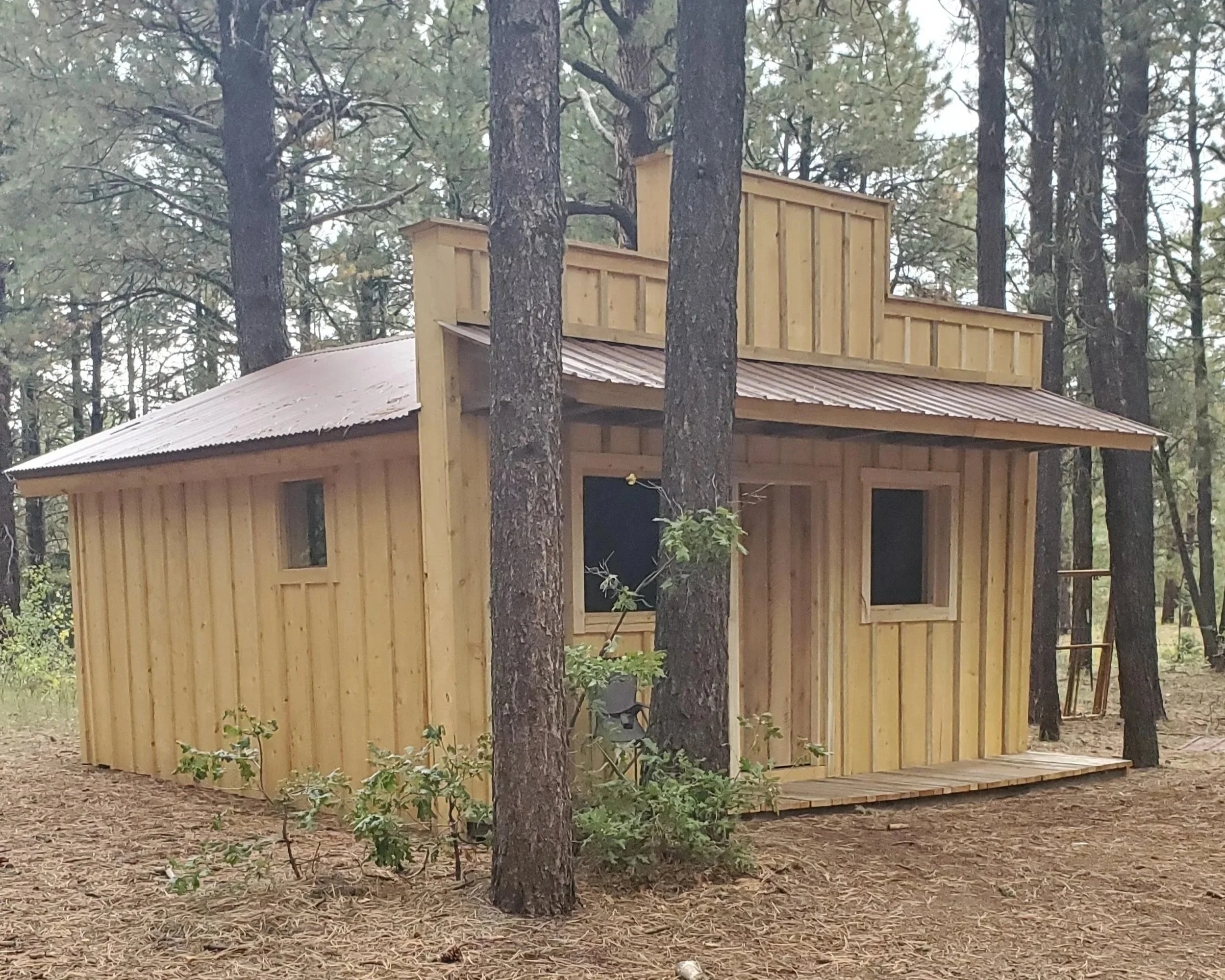 Small cabin in the woods