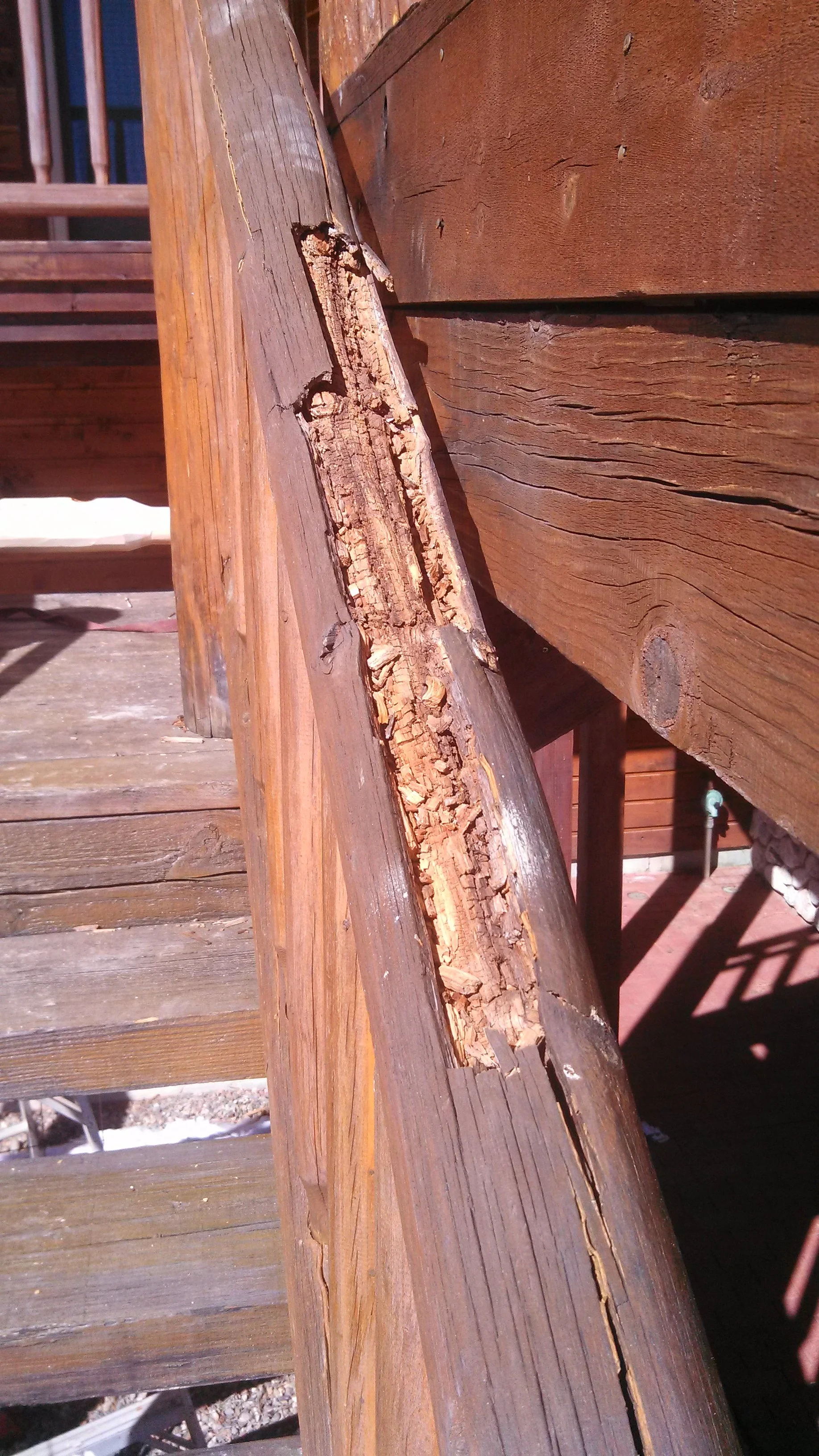 Log railing rotting