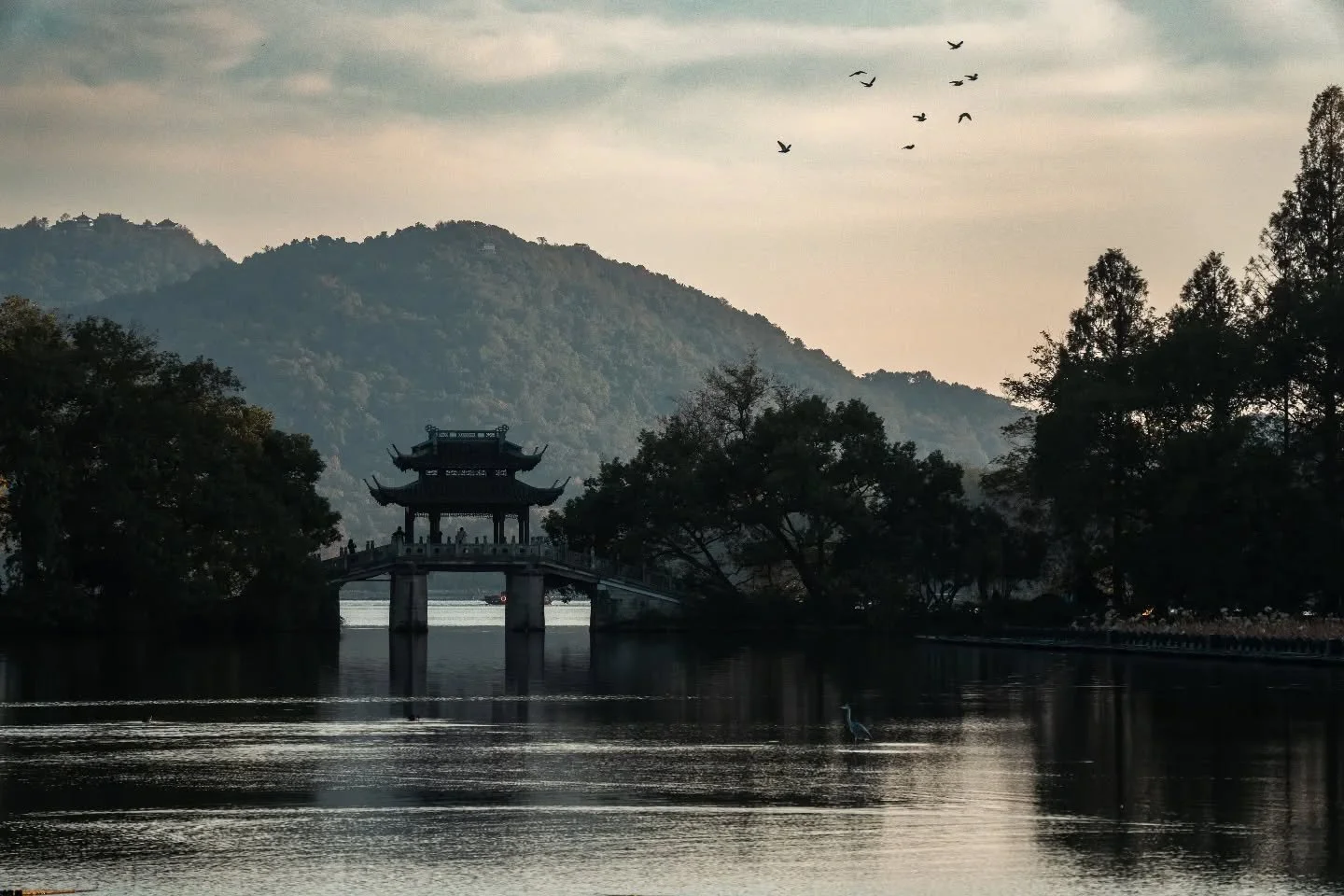 Yeah. I'm getting this one printed
f/5.6 1/500 106.00mm &bull; ISO320

#sonyalpha 
#sonyphotography 
#hangzhou