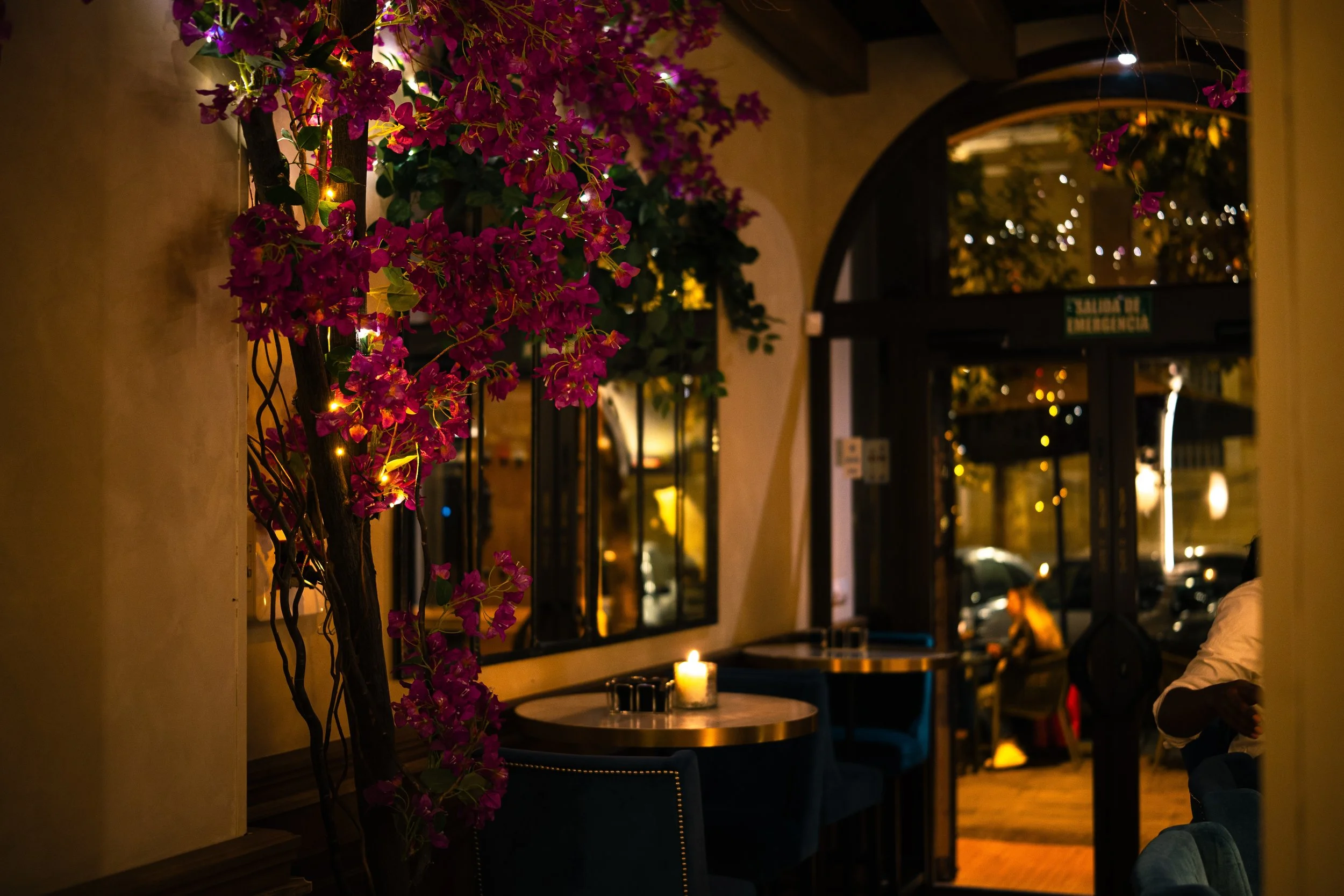 compressedImage (5).jpeg