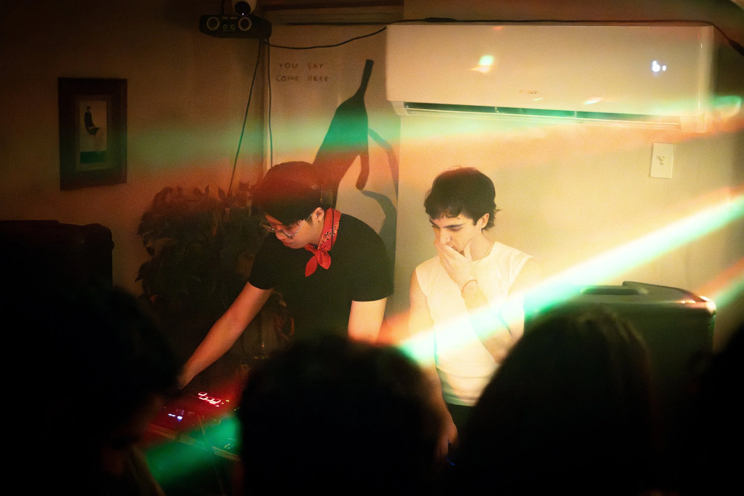 compressedImage (3).jpeg