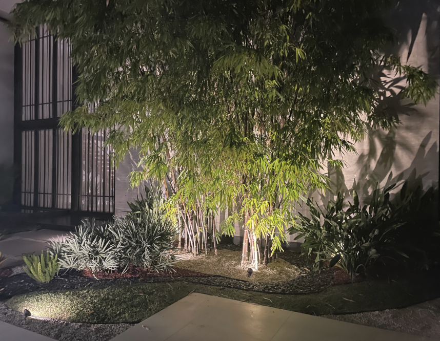 BAY POINT LANDSCAPE DESIGN PROJECT BY JESUS PACHECO 6.png