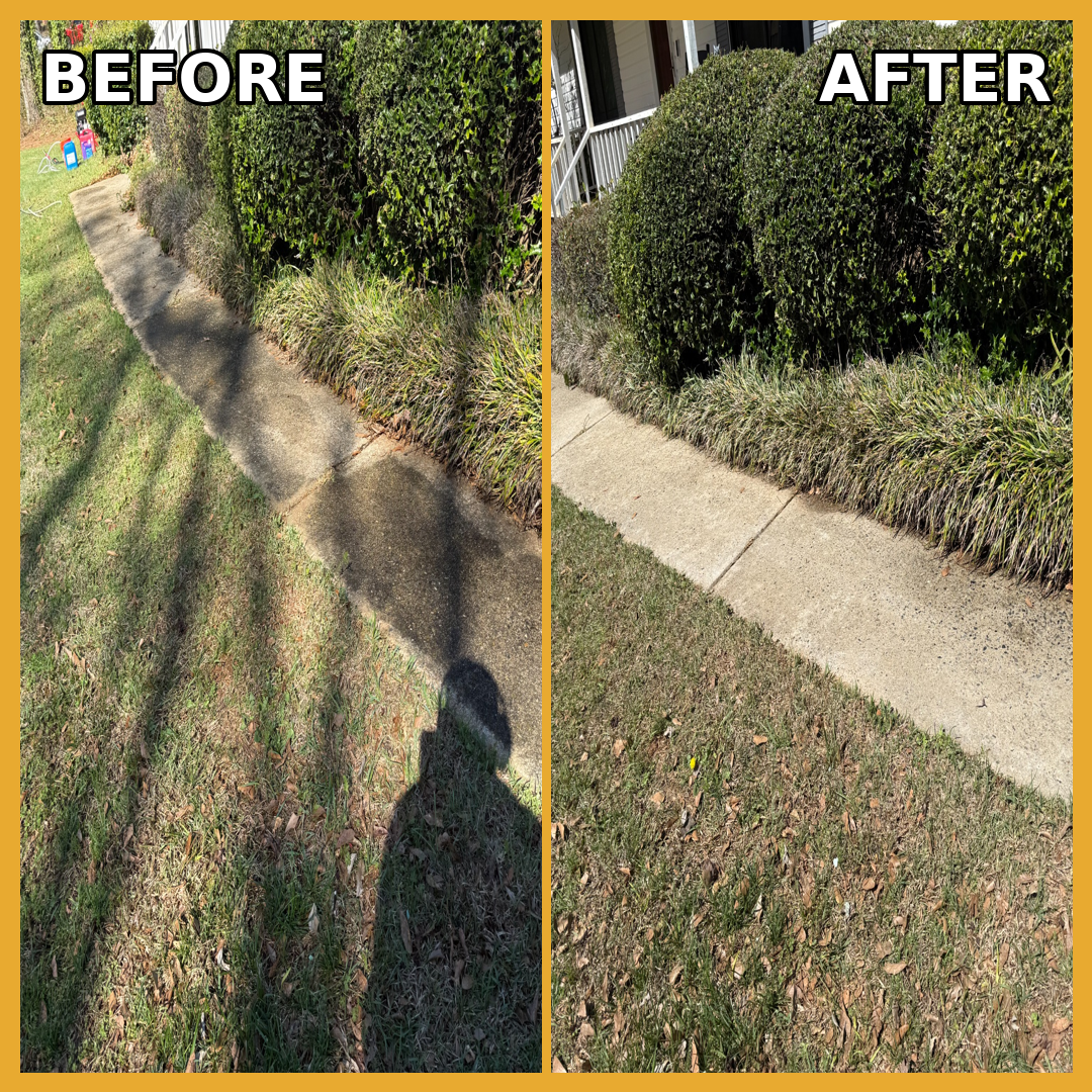 busybee_before_after_walkway2.png