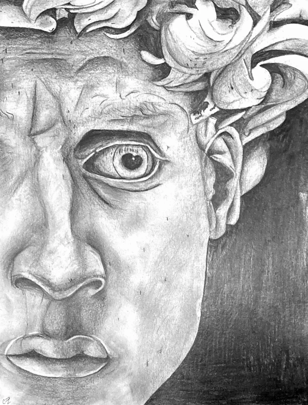 Greek sculpture (David)
Medium: Pencil