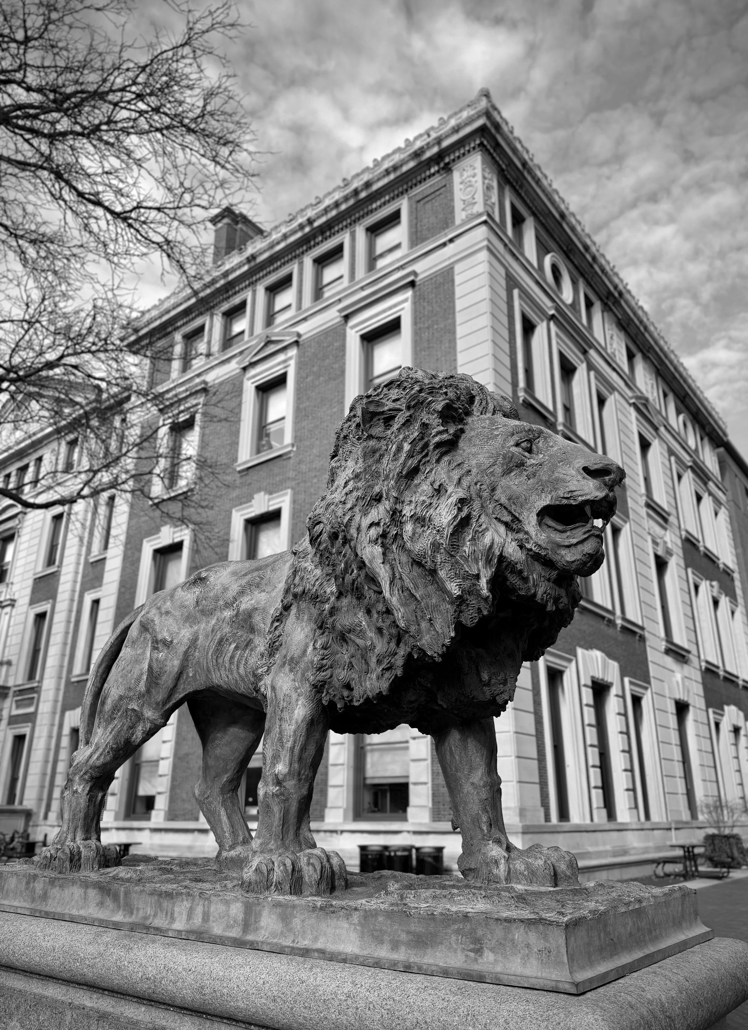 Bronze lion statue in front of a multi-story brick building with decorative white trim, leafless trees, and cloudy sky in the background.