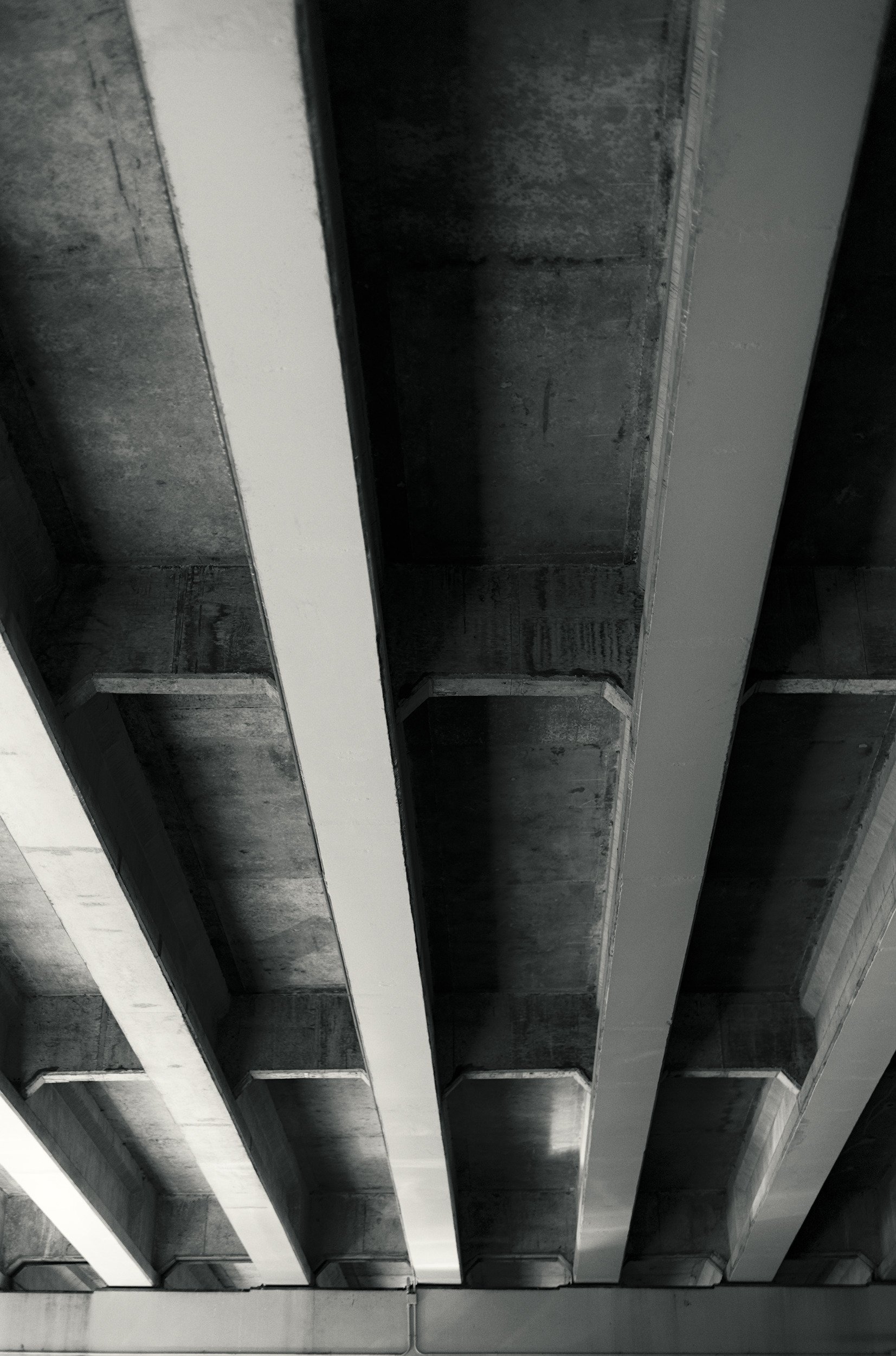 The Brutal Nave // Miami, 2026