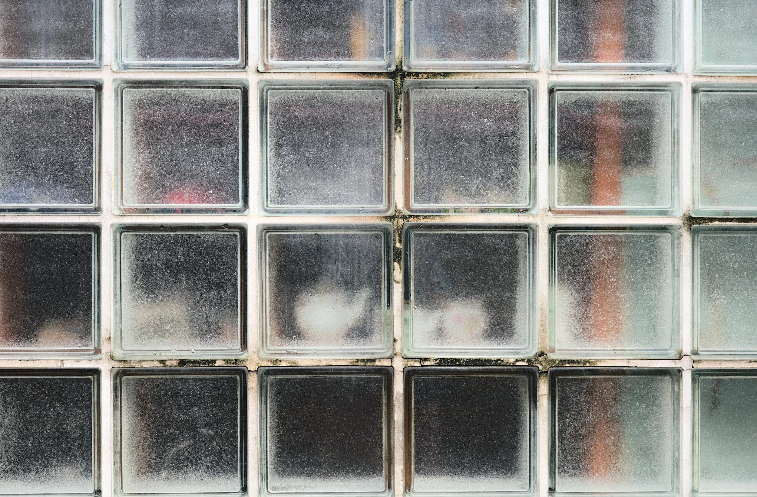 Taxonomy of Affect // Tokyo, 2025