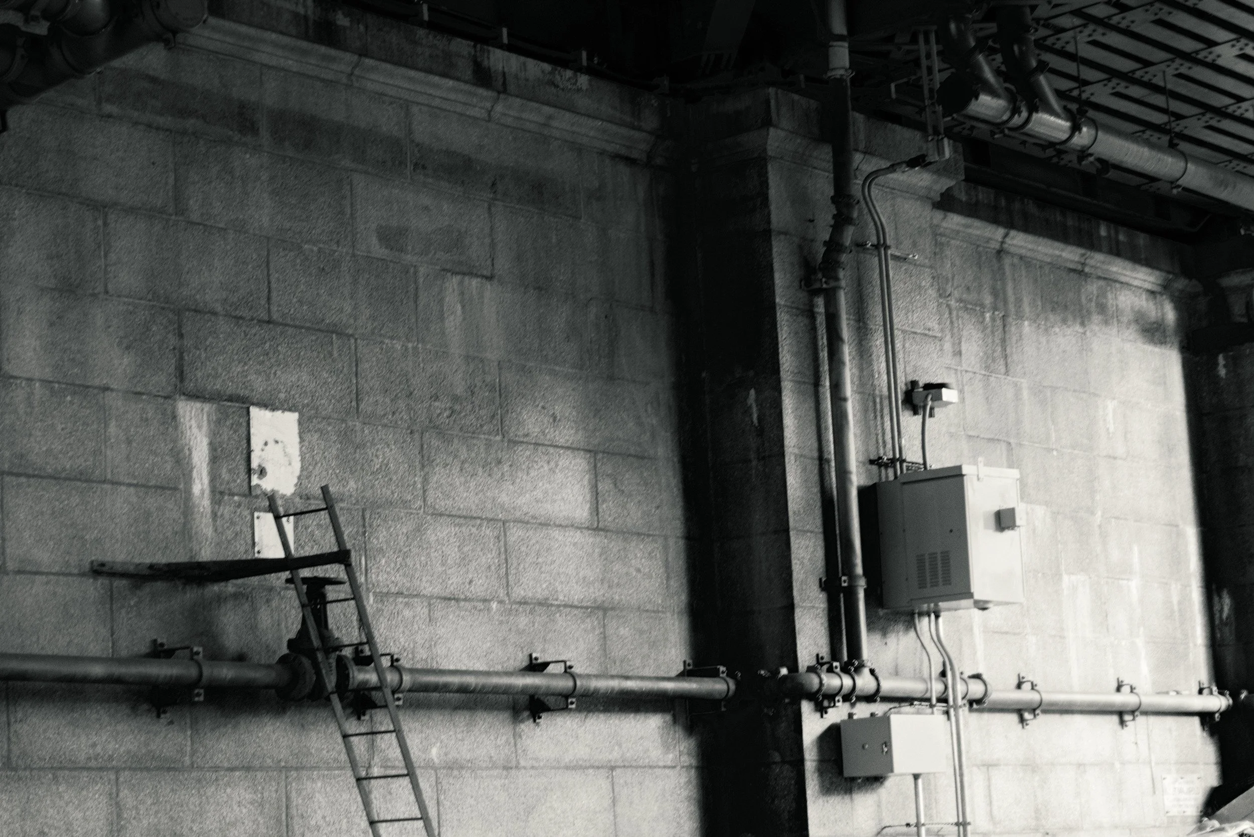 Artery // New York, 2024