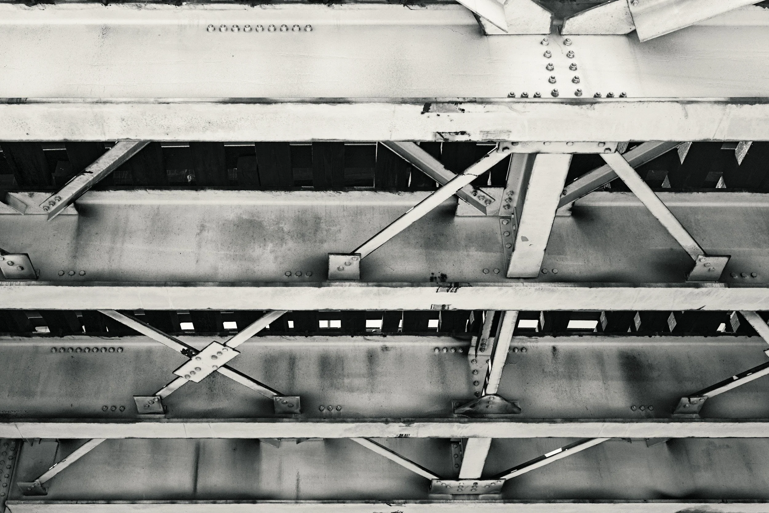 Vertebrae // Chicago, 2025