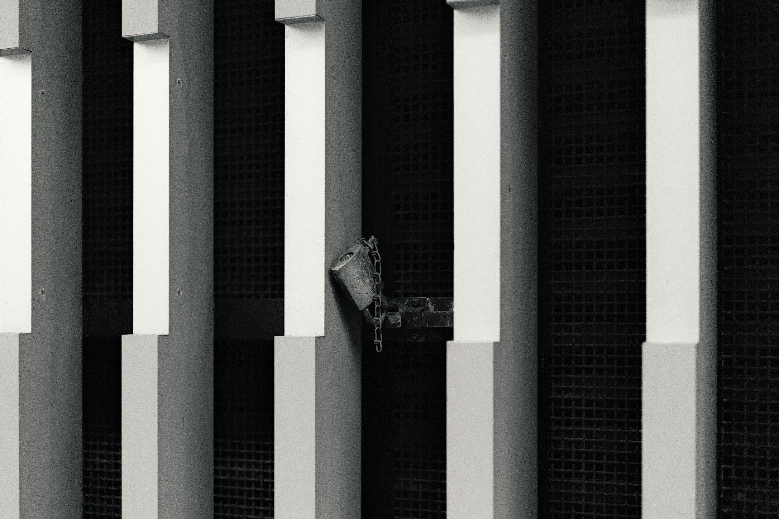 Seized Rhythm // New York, 2026