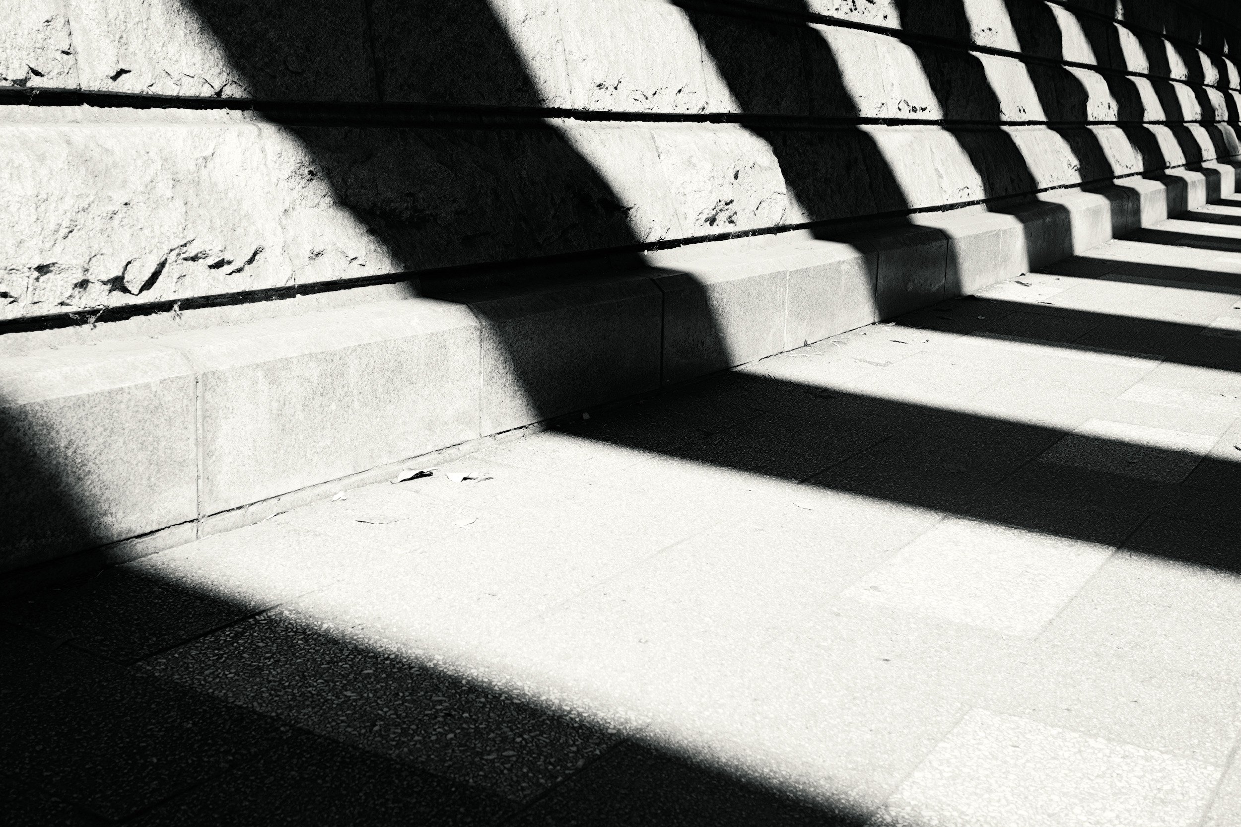 Penumbra // Tokyo, 2025