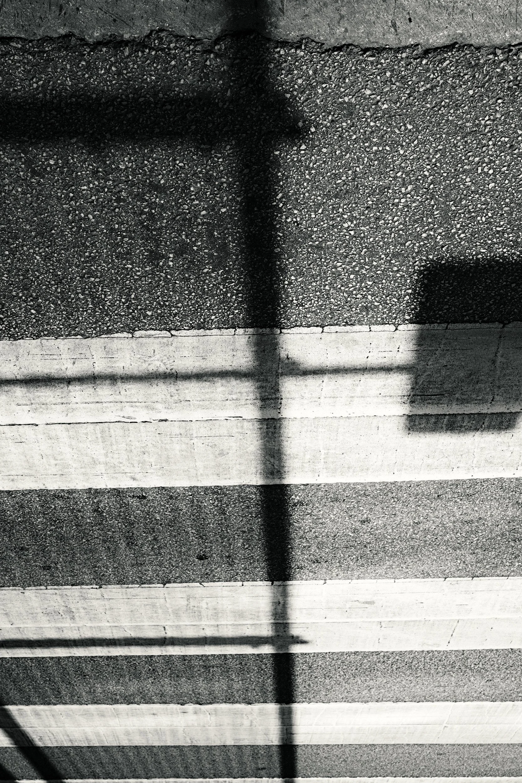 Vector // Chicago, 2025