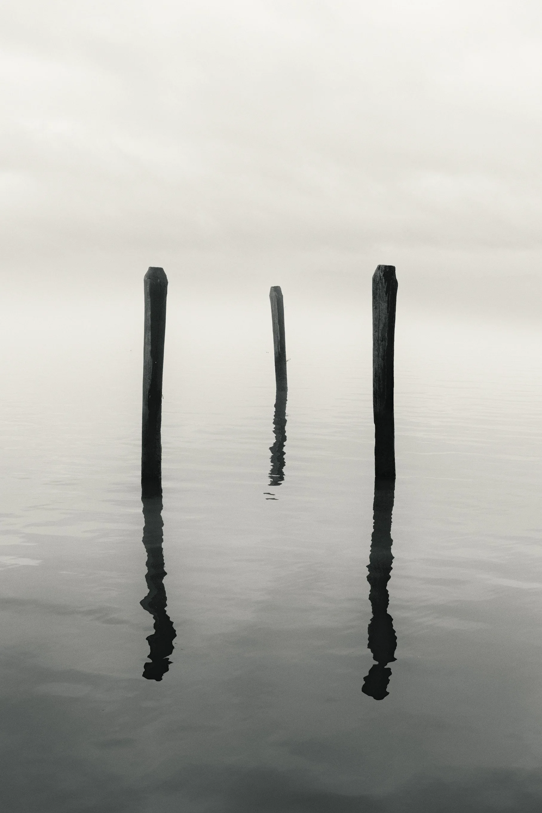 Three-Posts-Sentinels-Fragile-Permanence-Derek-Ronald.jpg