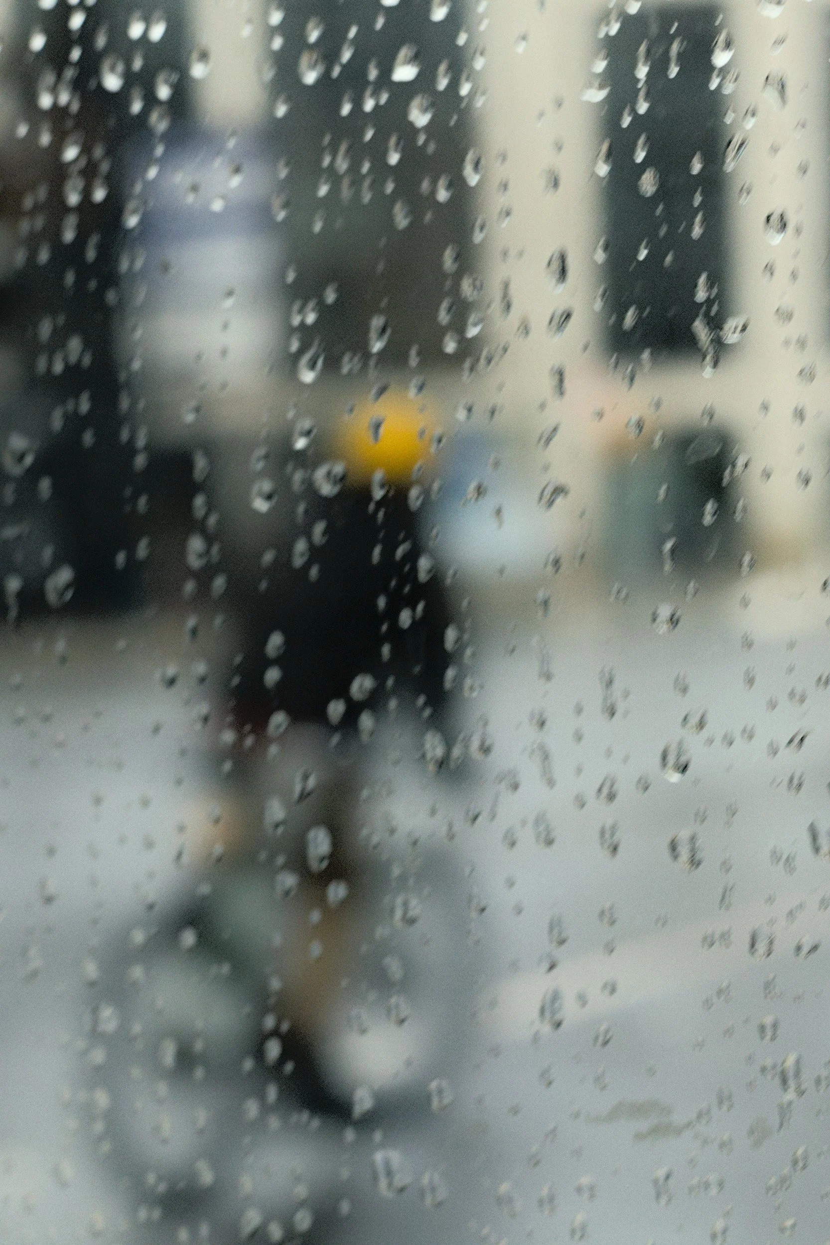 Rain & Rider // New York, 2026