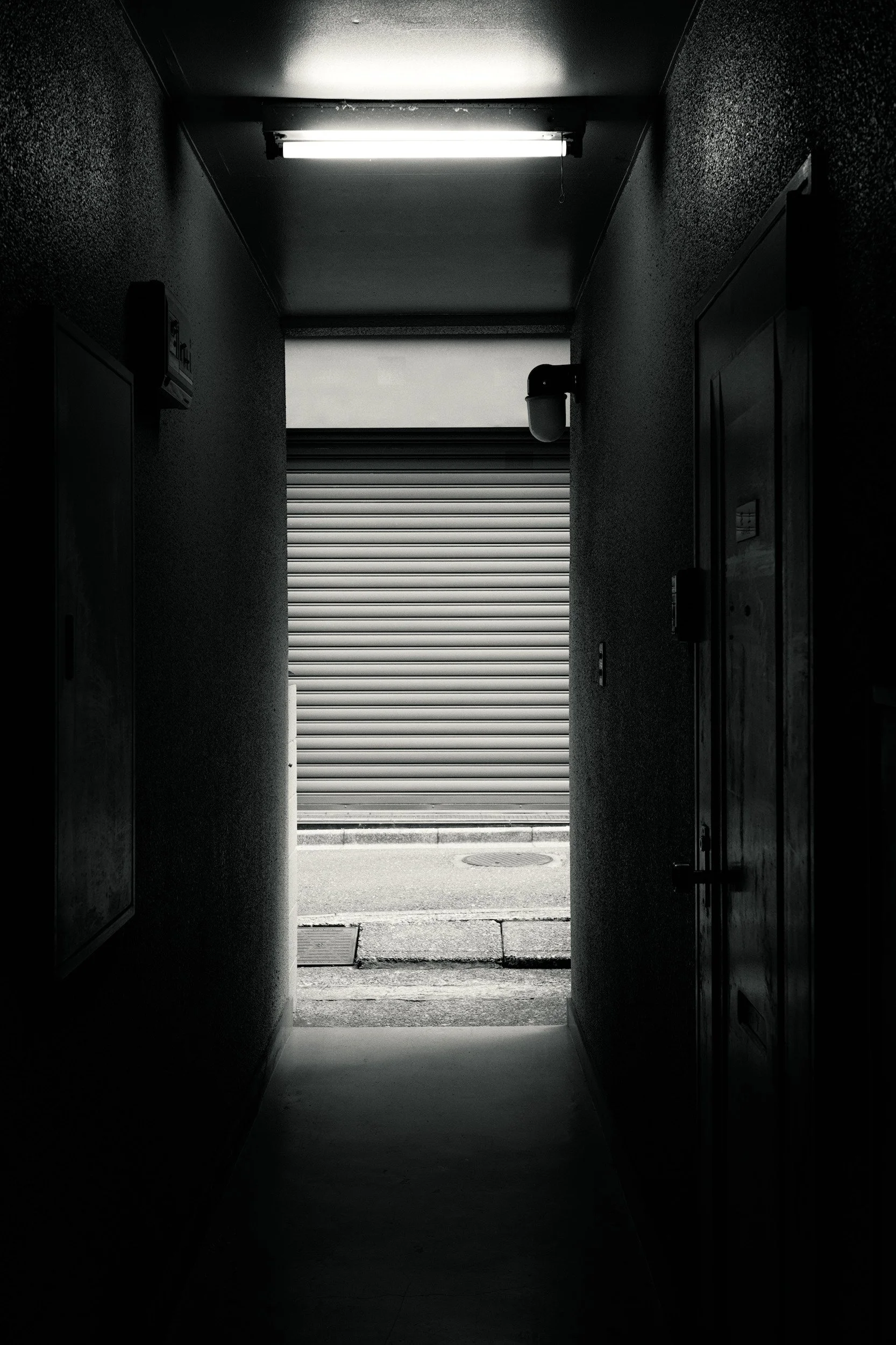 Occlusion // Tokyo, 2025