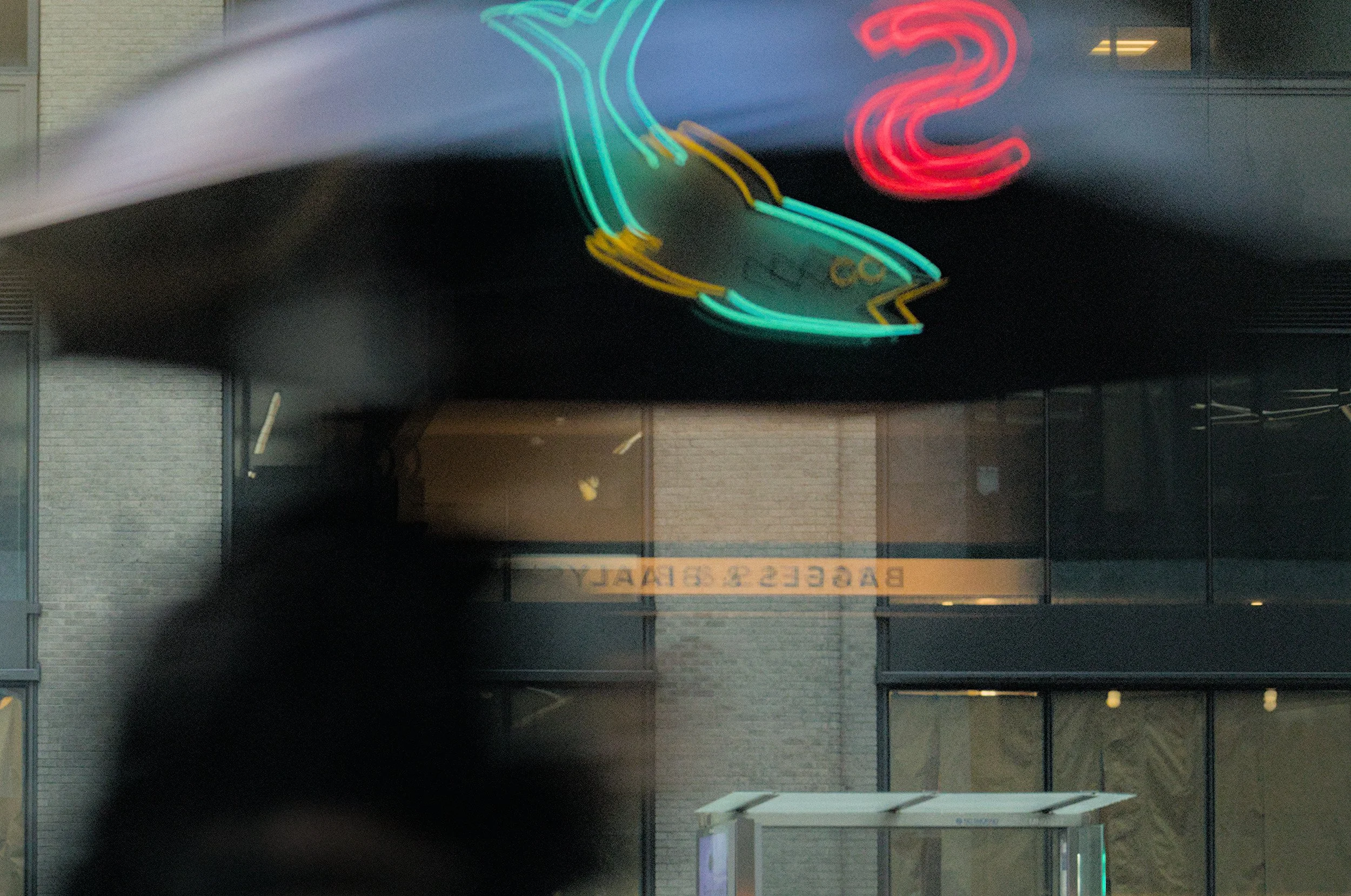 Wet Fish // New York, 2026