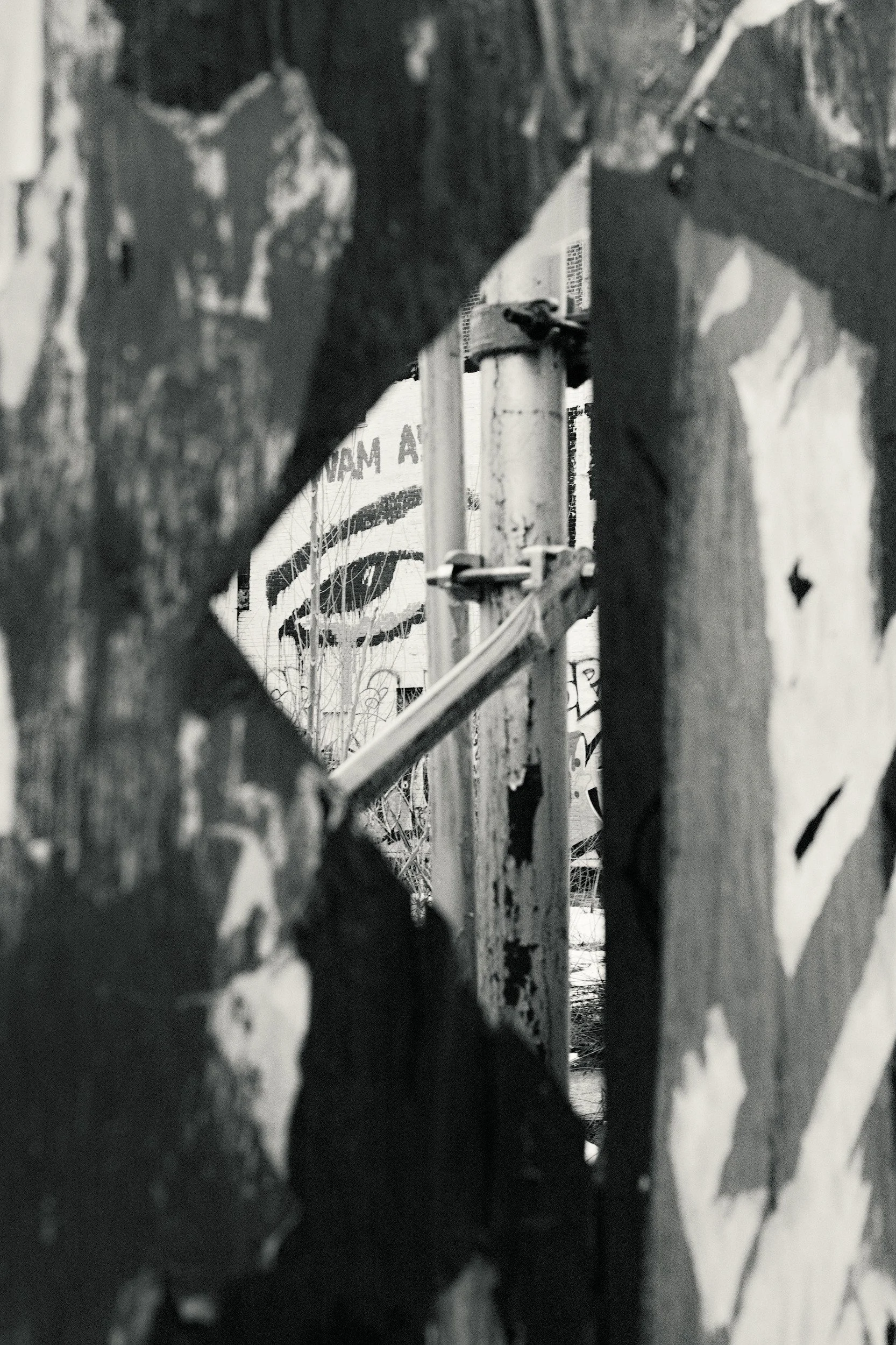 Kept Gaze // New York, 2026