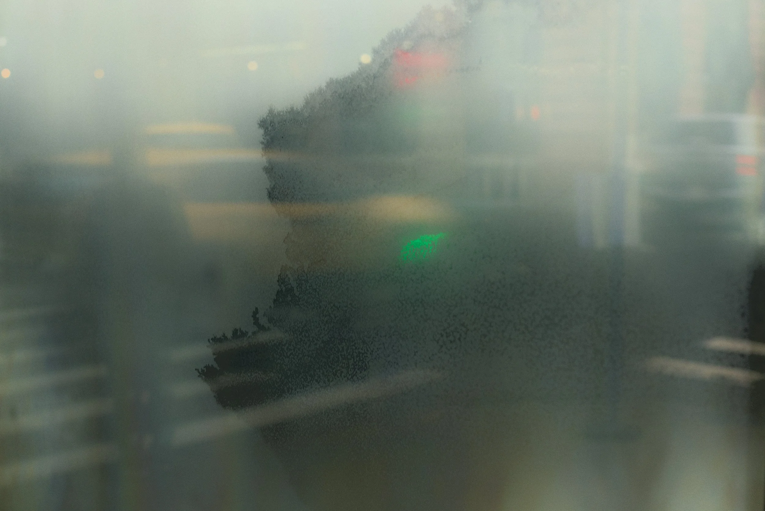 Fog & Green // New York, 2026