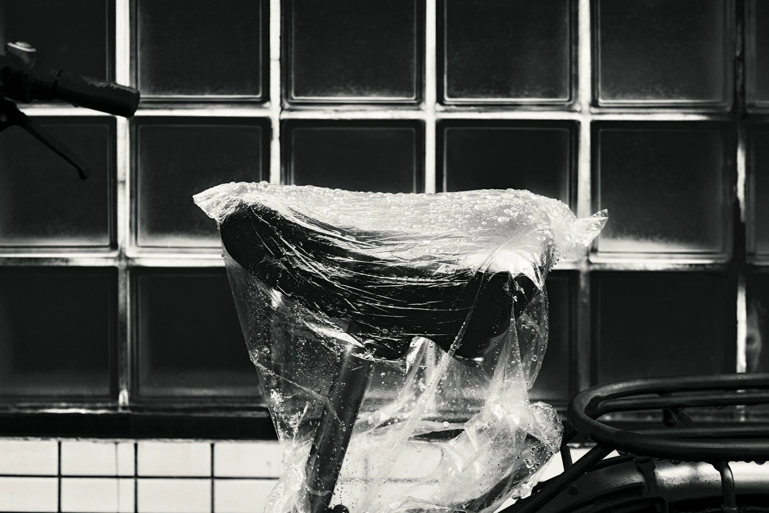 Chrysalis // Tokyo, 2025