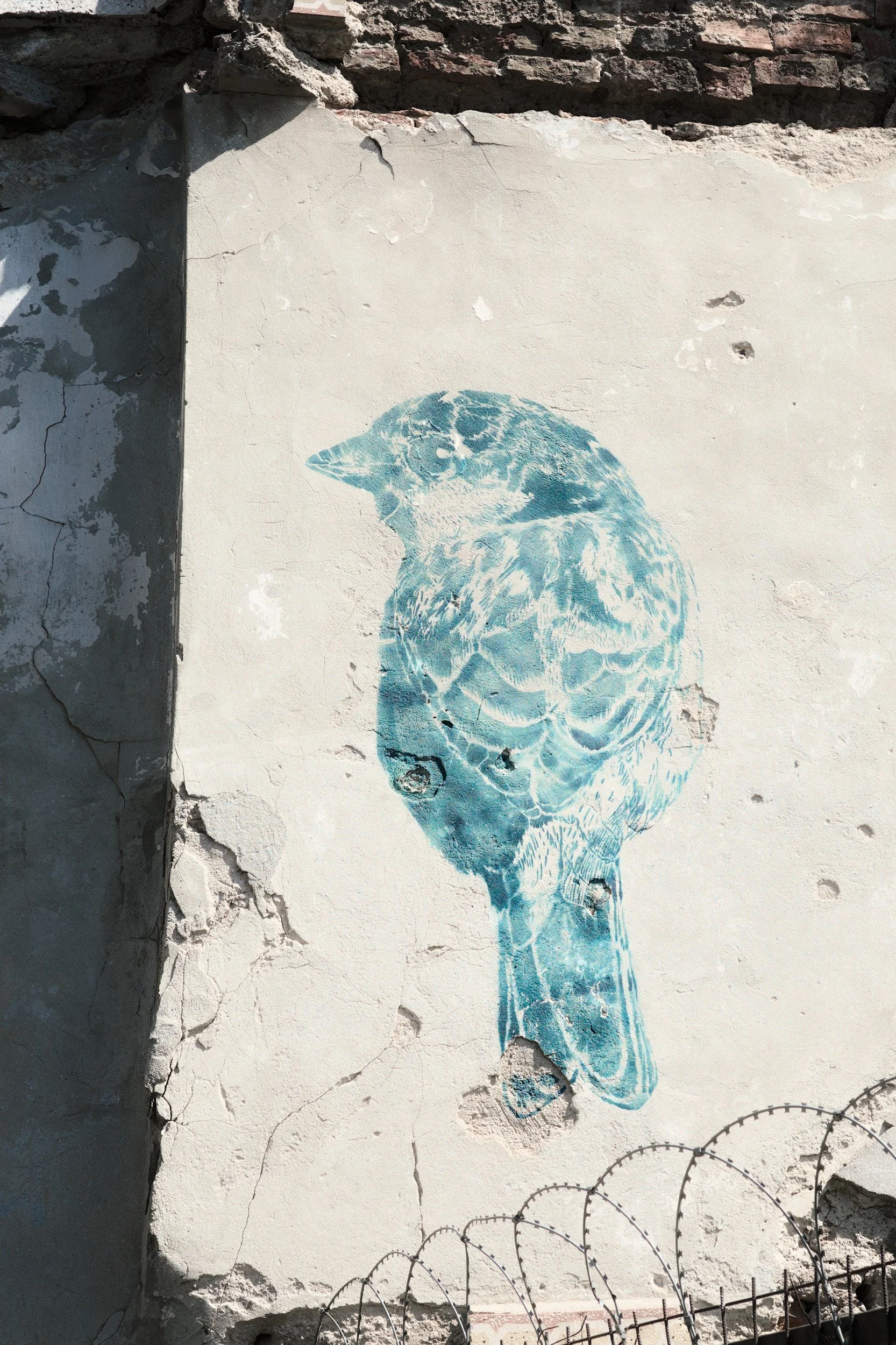 Remnant // Istanbul,. 2025