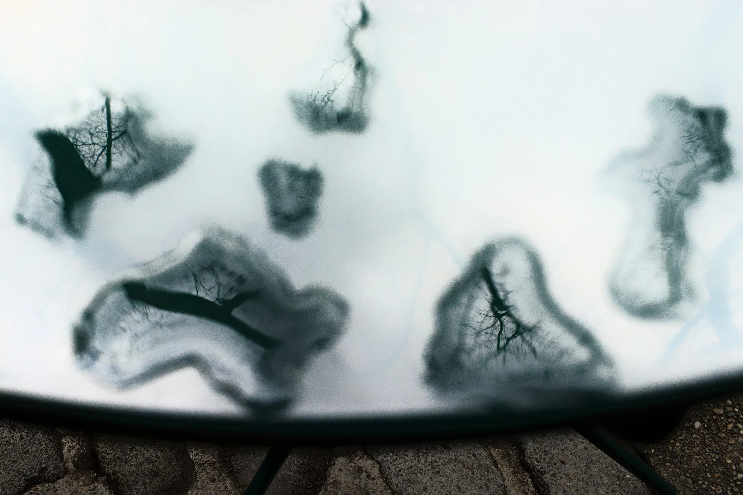 Untitled // New York, 2024