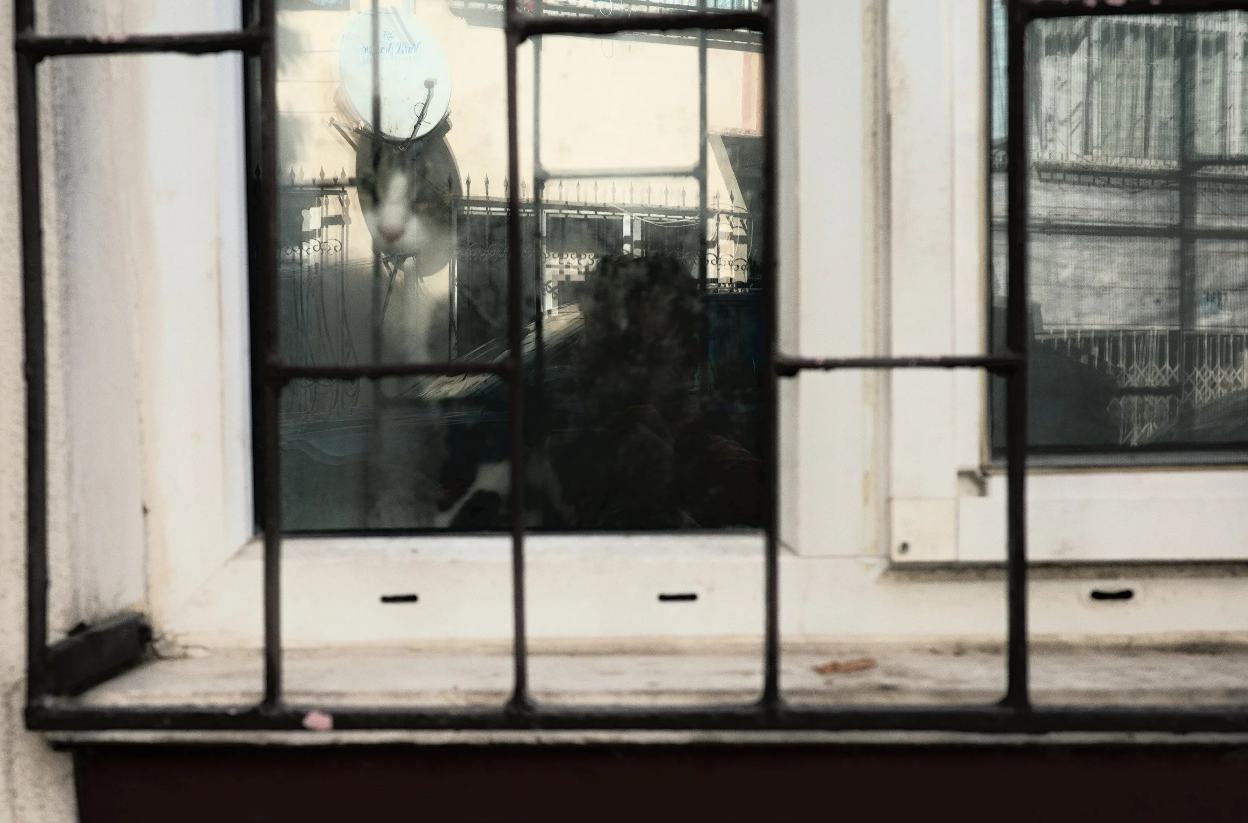 Containment // Istanbul, 2025