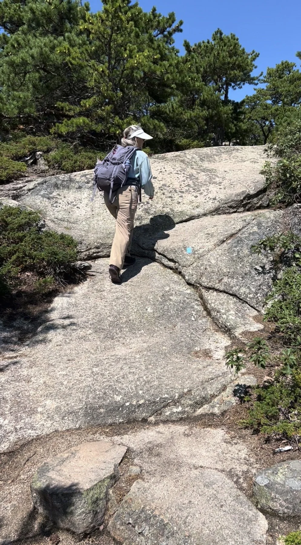 A person hiking on a rocky trail surrounded by trees and bushes in a forested area under a blue sky.