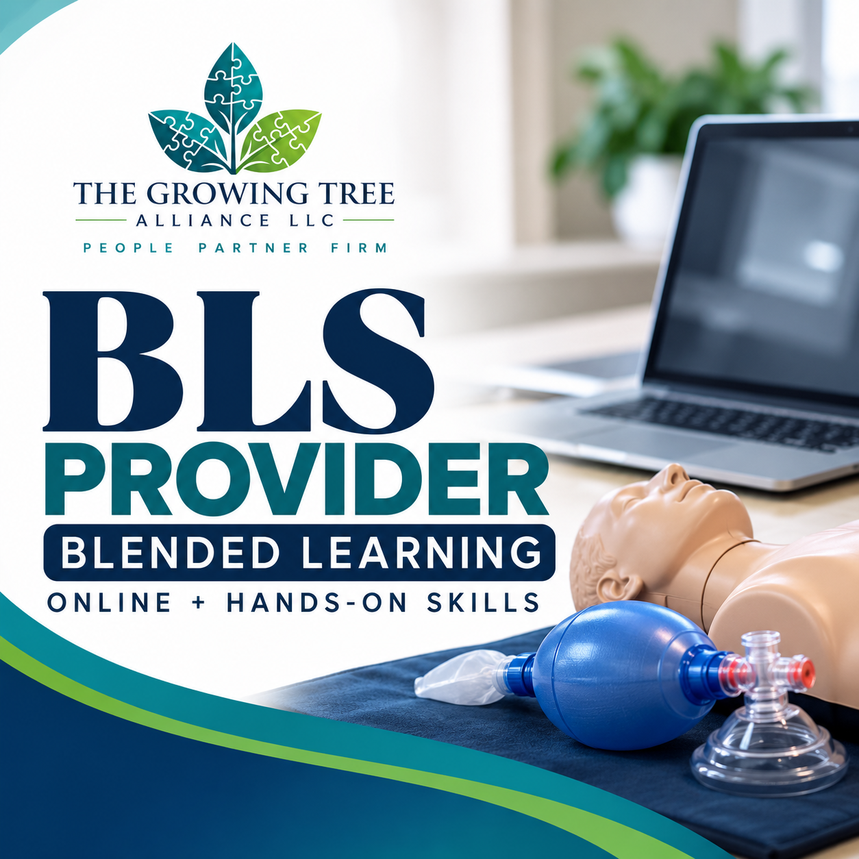 BLS Provider | Blended Learning
