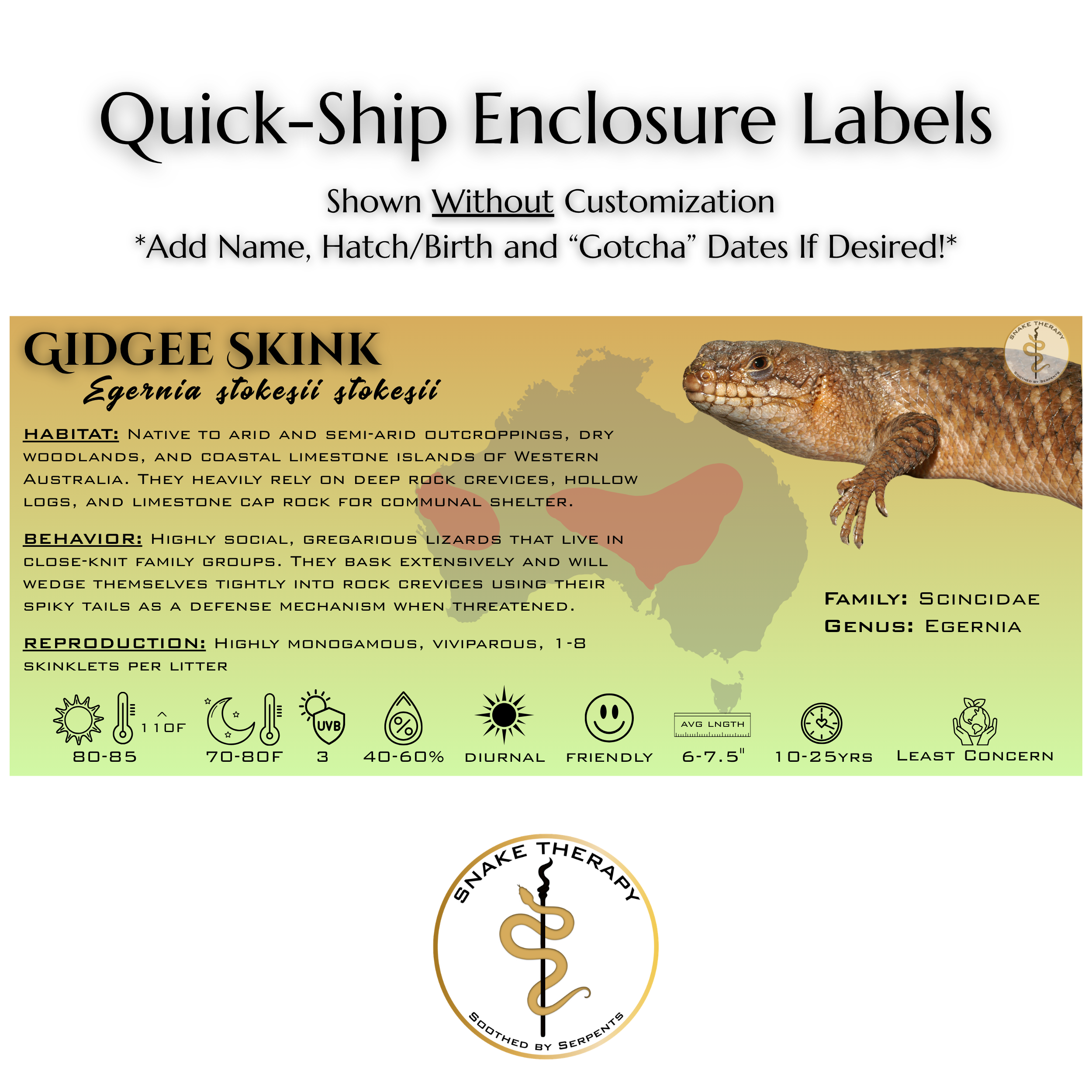 Quick-Ship Reptile Enclosure Labels by Snake Therapy