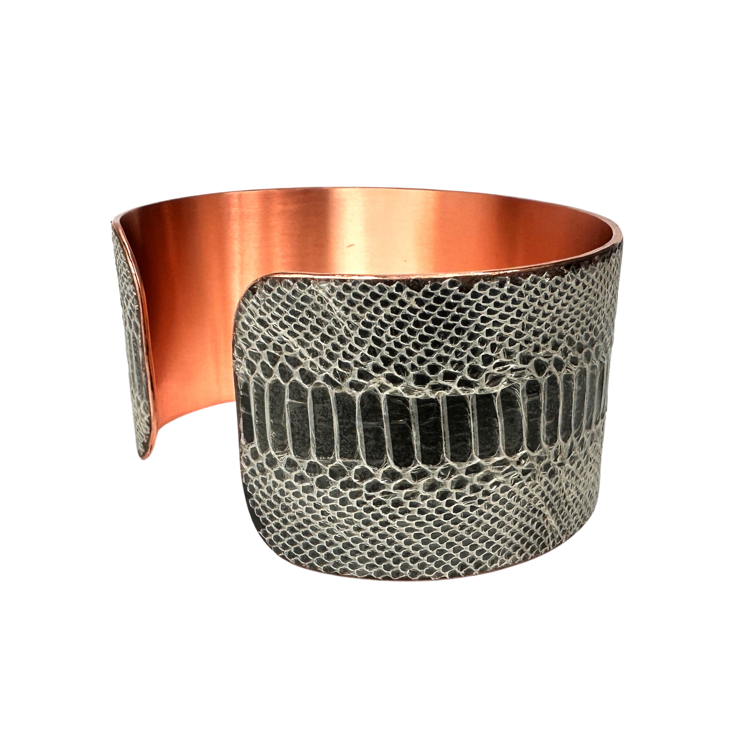 CSS-14.1 -2500x2500.png