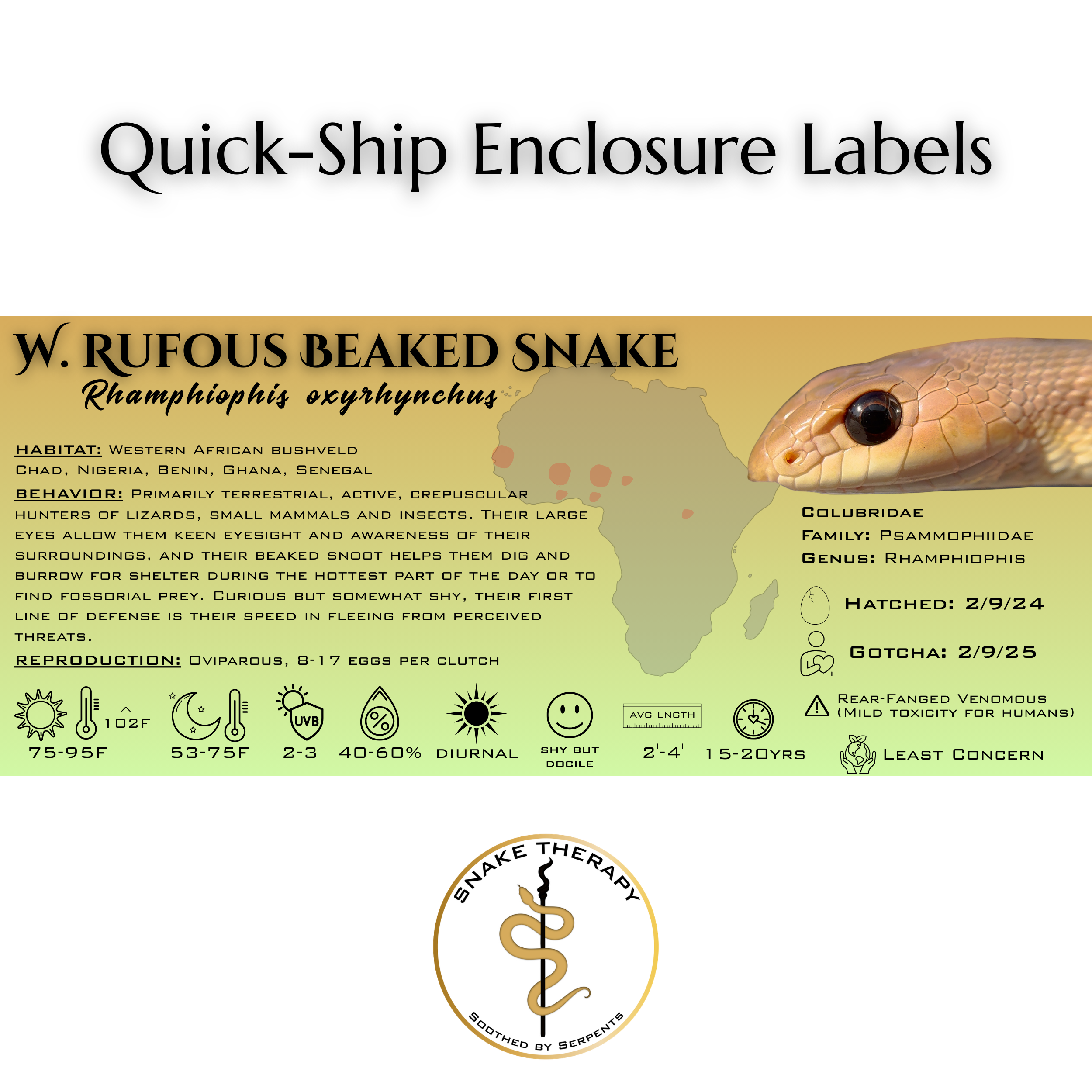 Quick-Ship Reptile Enclosure Labels by Snake Therapy