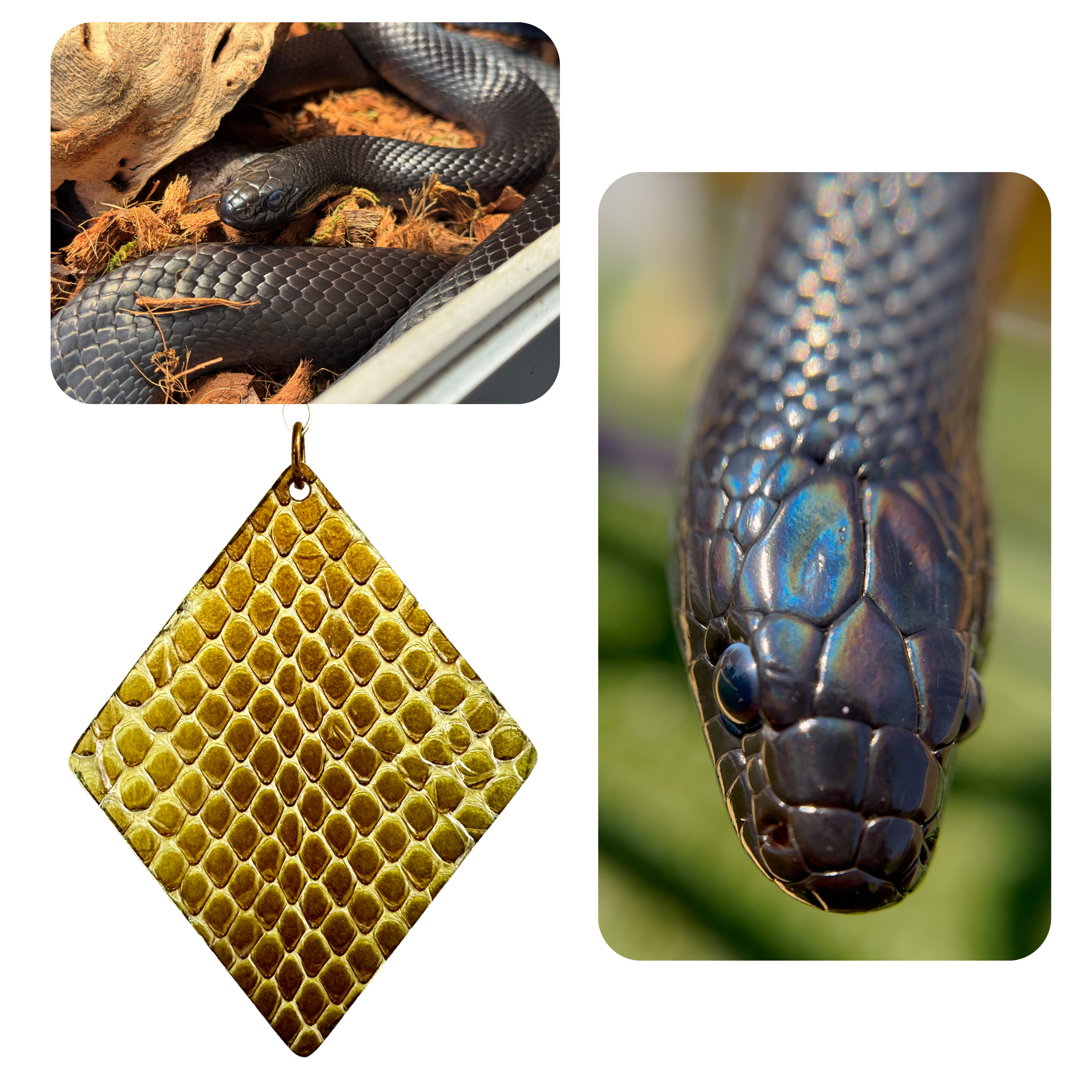 Snake Shed Brass Diamond Pendant- Anu