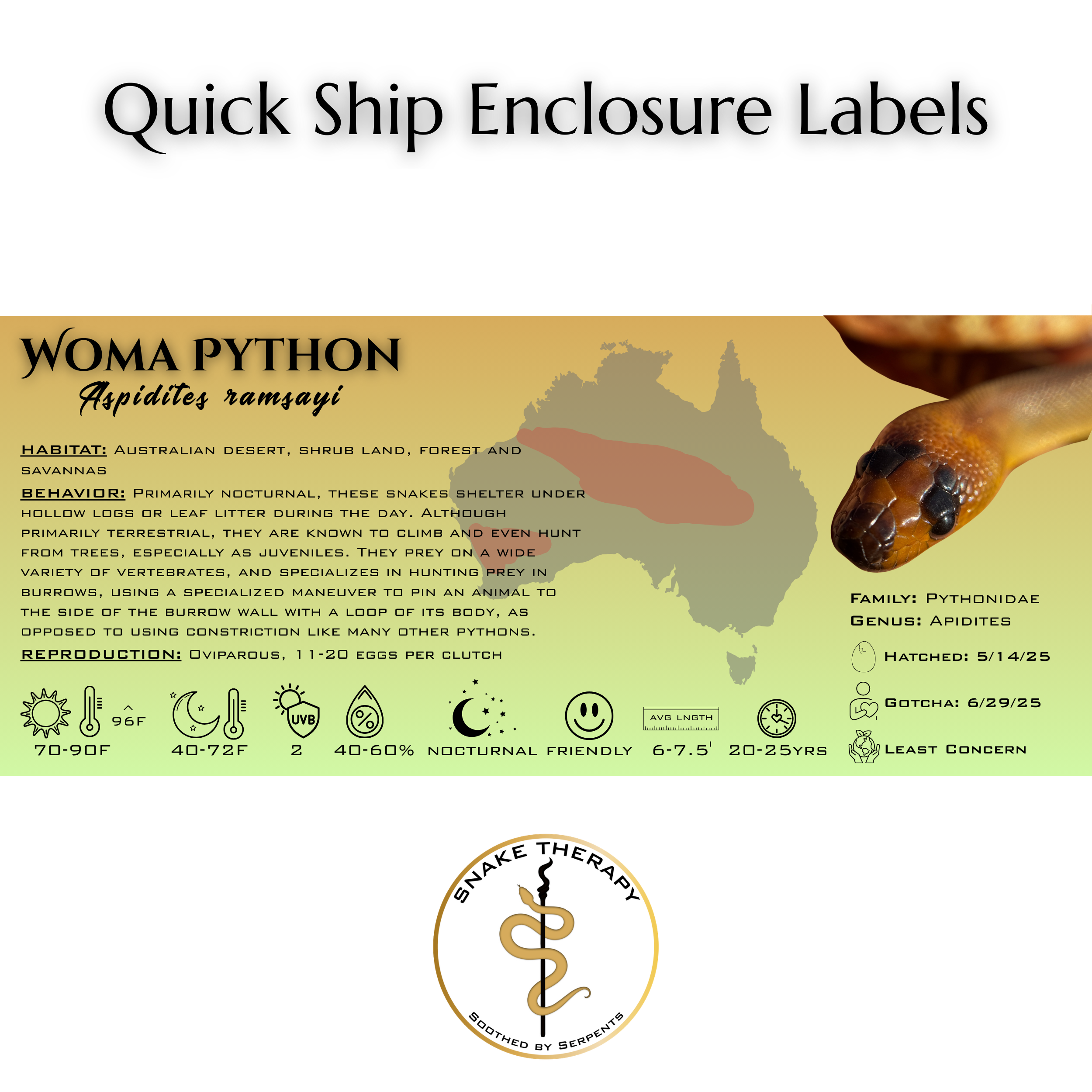 Quick-Ship Reptile Enclosure Labels by Snake Therapy