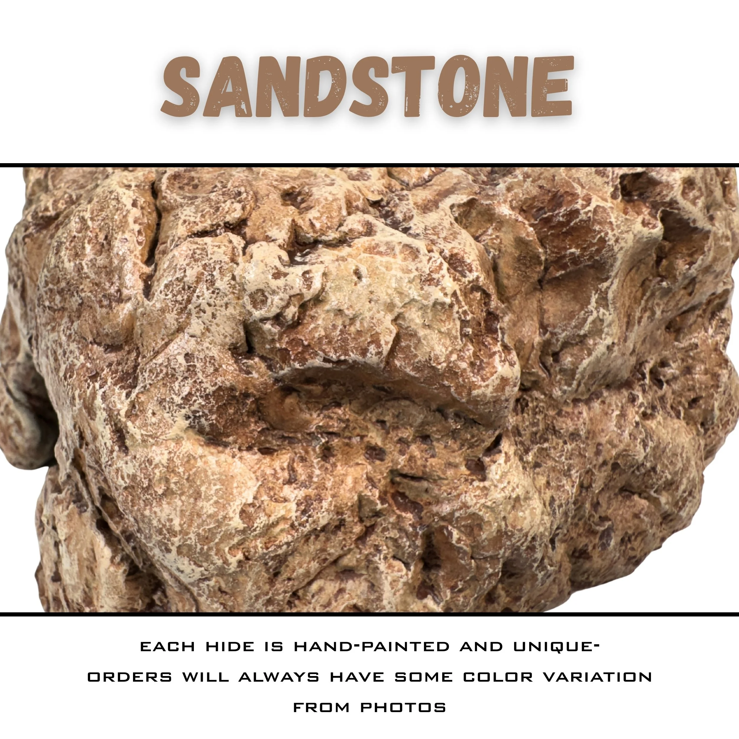 SANSTN_COLORWB.jpg (Copy) (Copy)