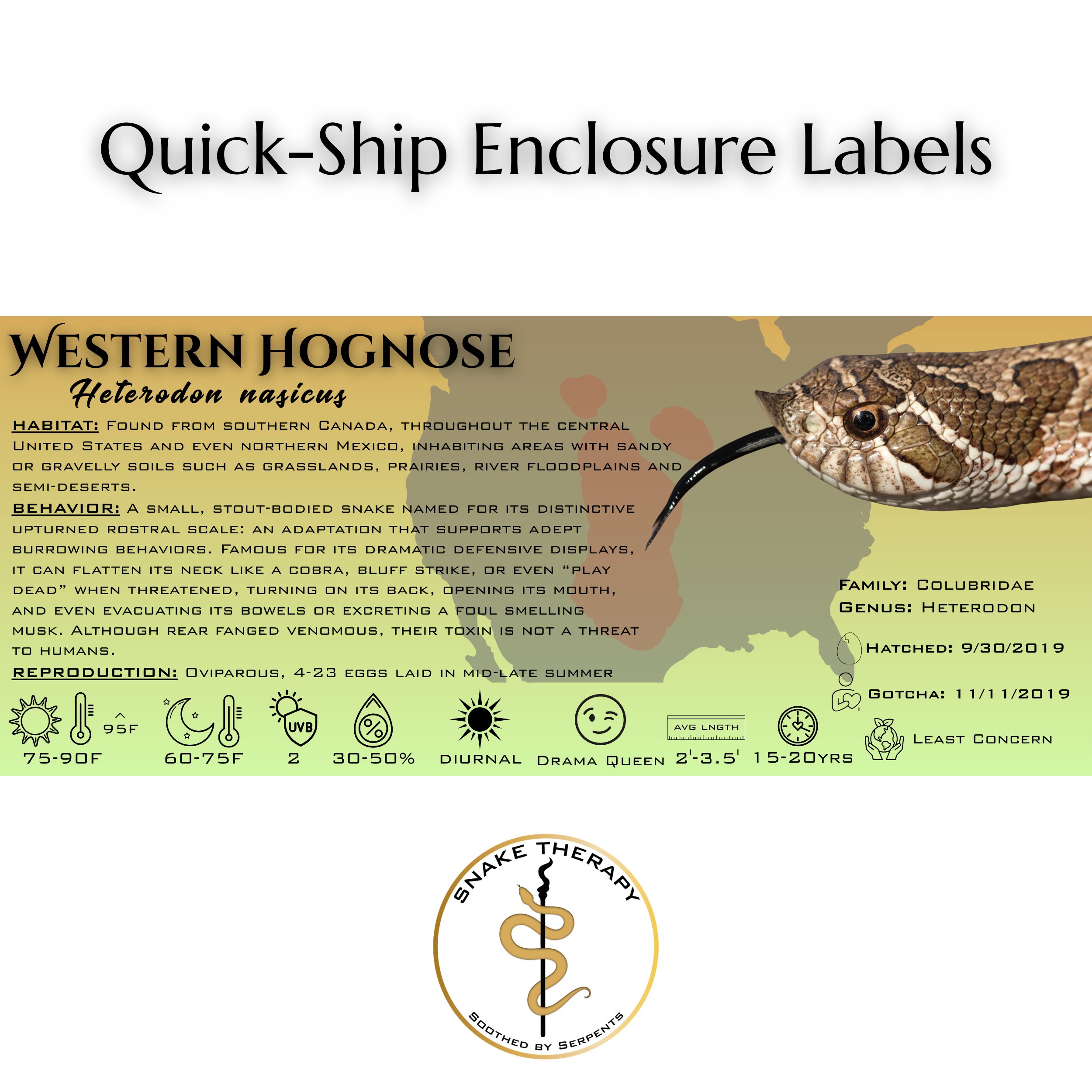 Quick-Ship Reptile Enclosure Labels by Snake Therapy