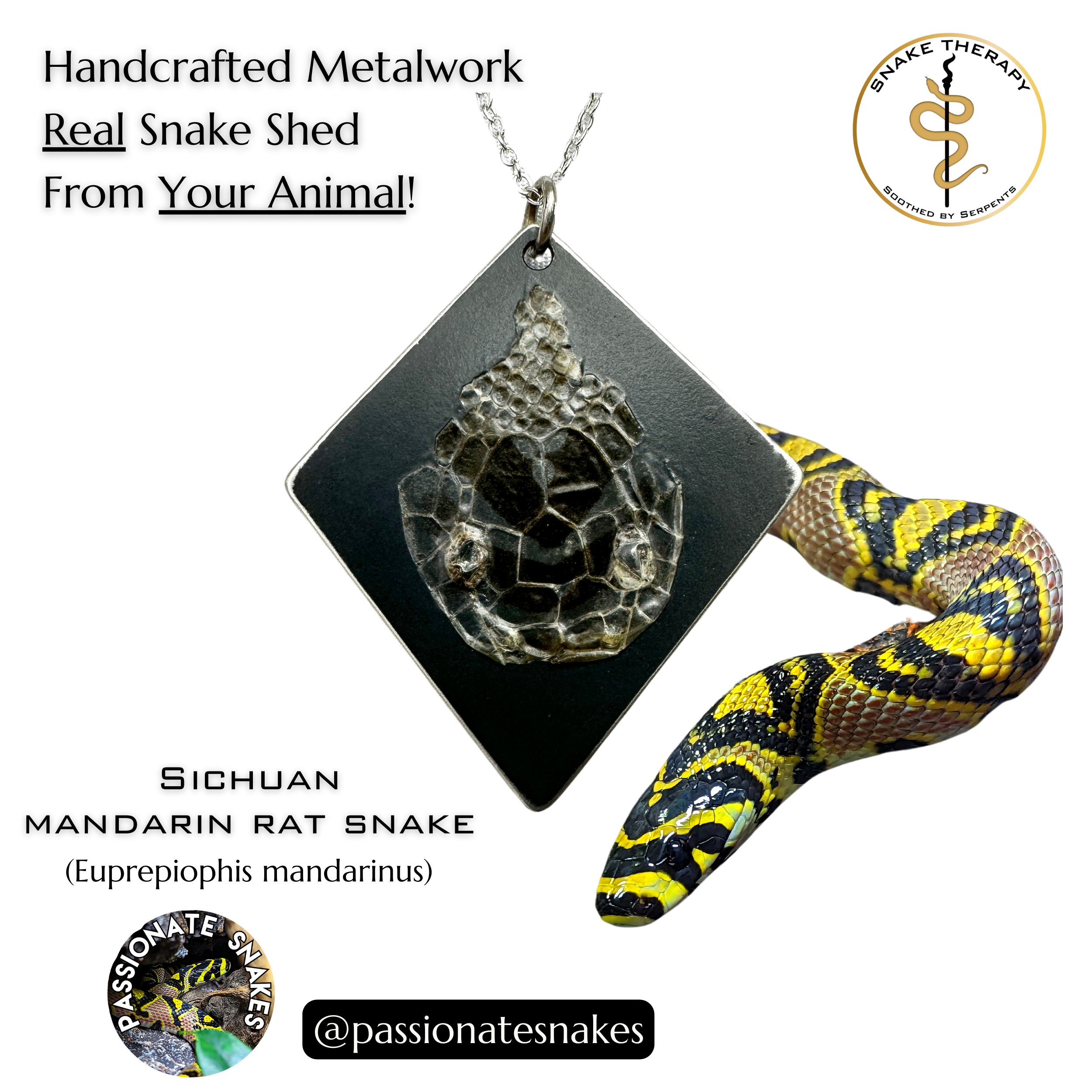 Custom Handmade Metal Pendant with Your Snake's Shed