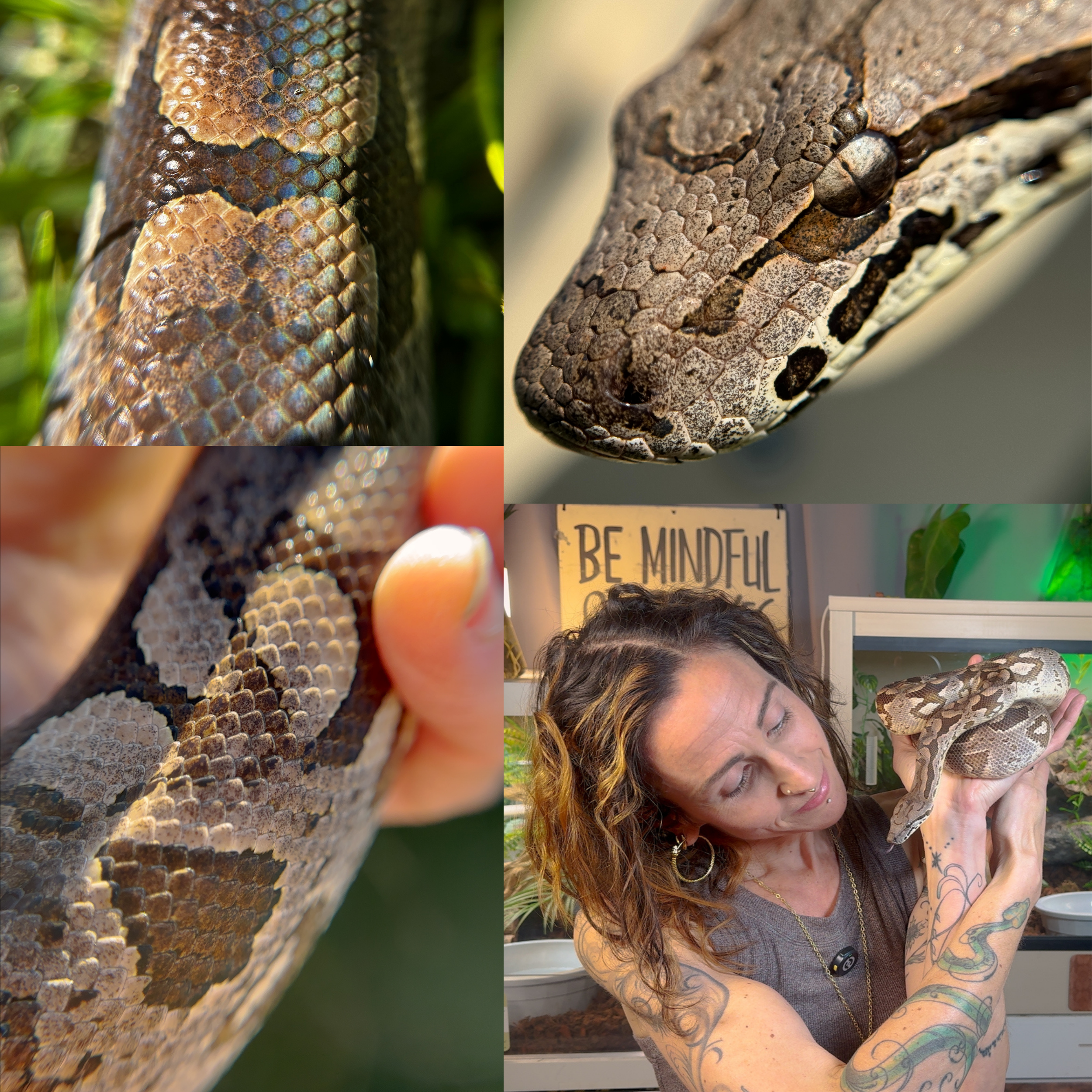 OLORIN-PRDCT IMG-2500px.png