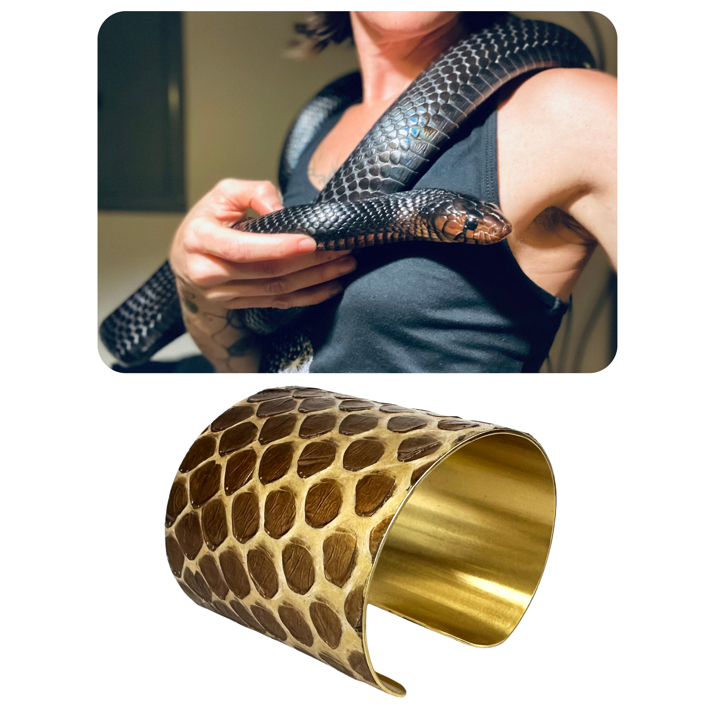 Brass Snake Shed Cuff: Eastern Indigo