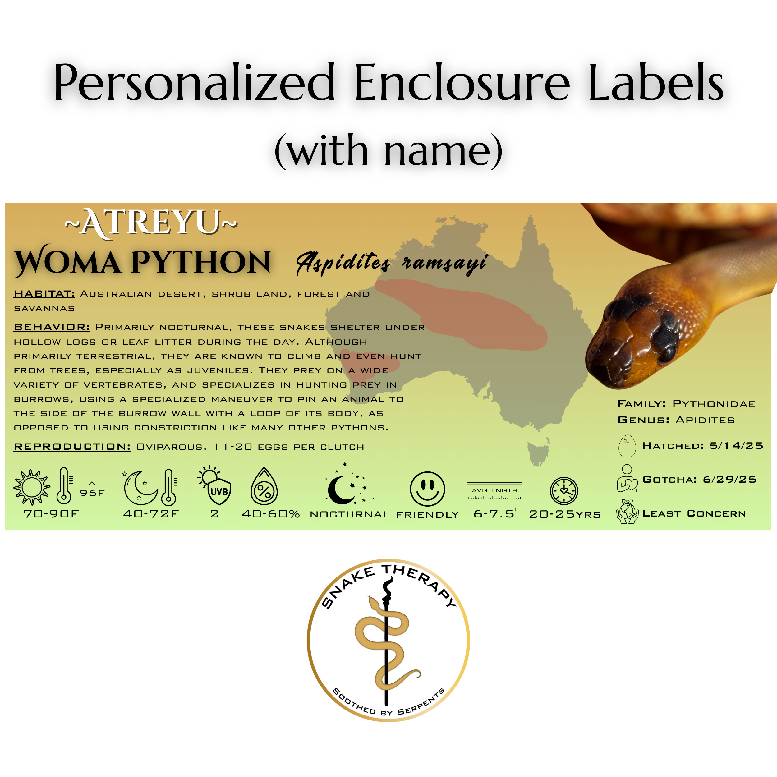 Personalized Reptile Enclosure Labels by Snake Therapy