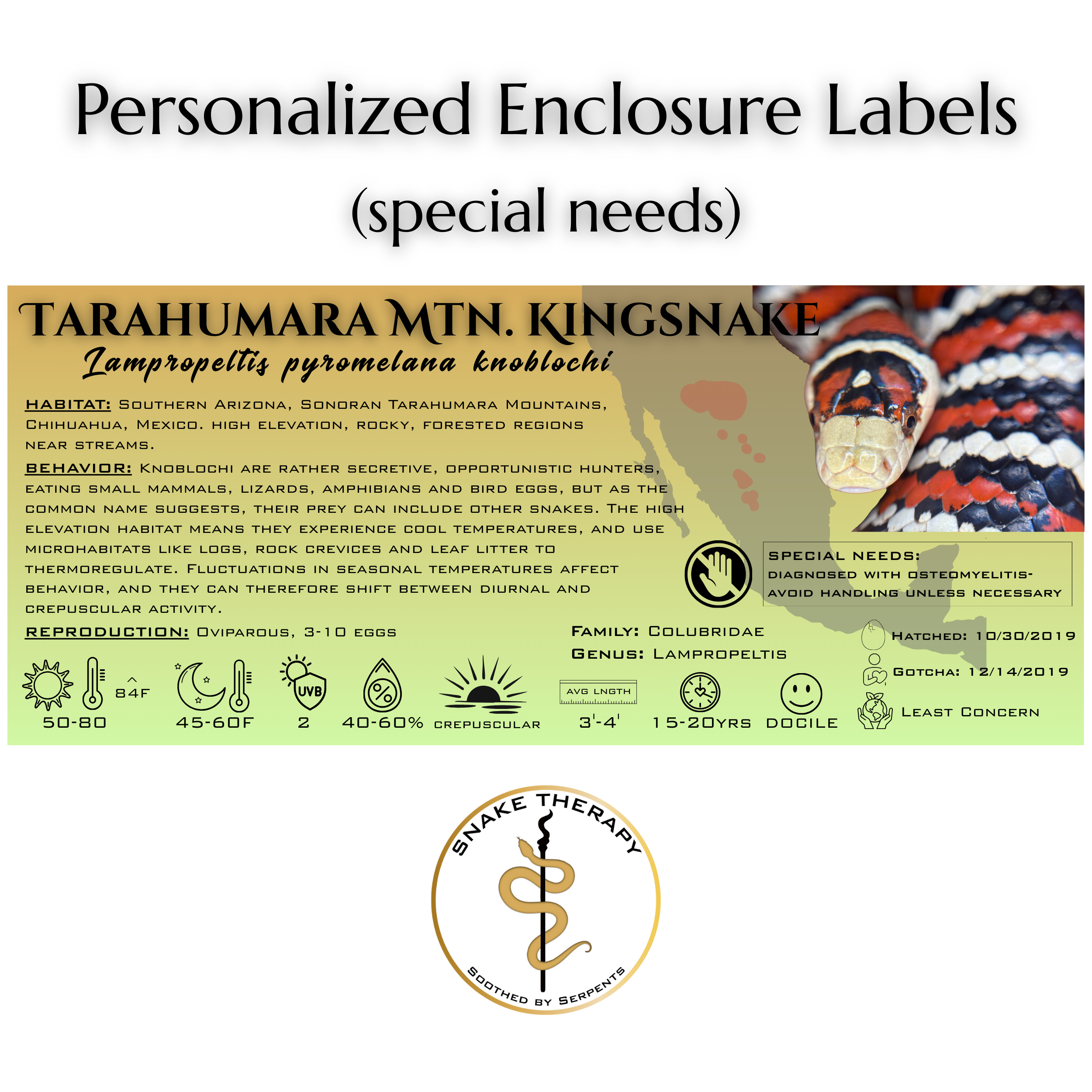 WB LABEL EXAMPLE-01.png