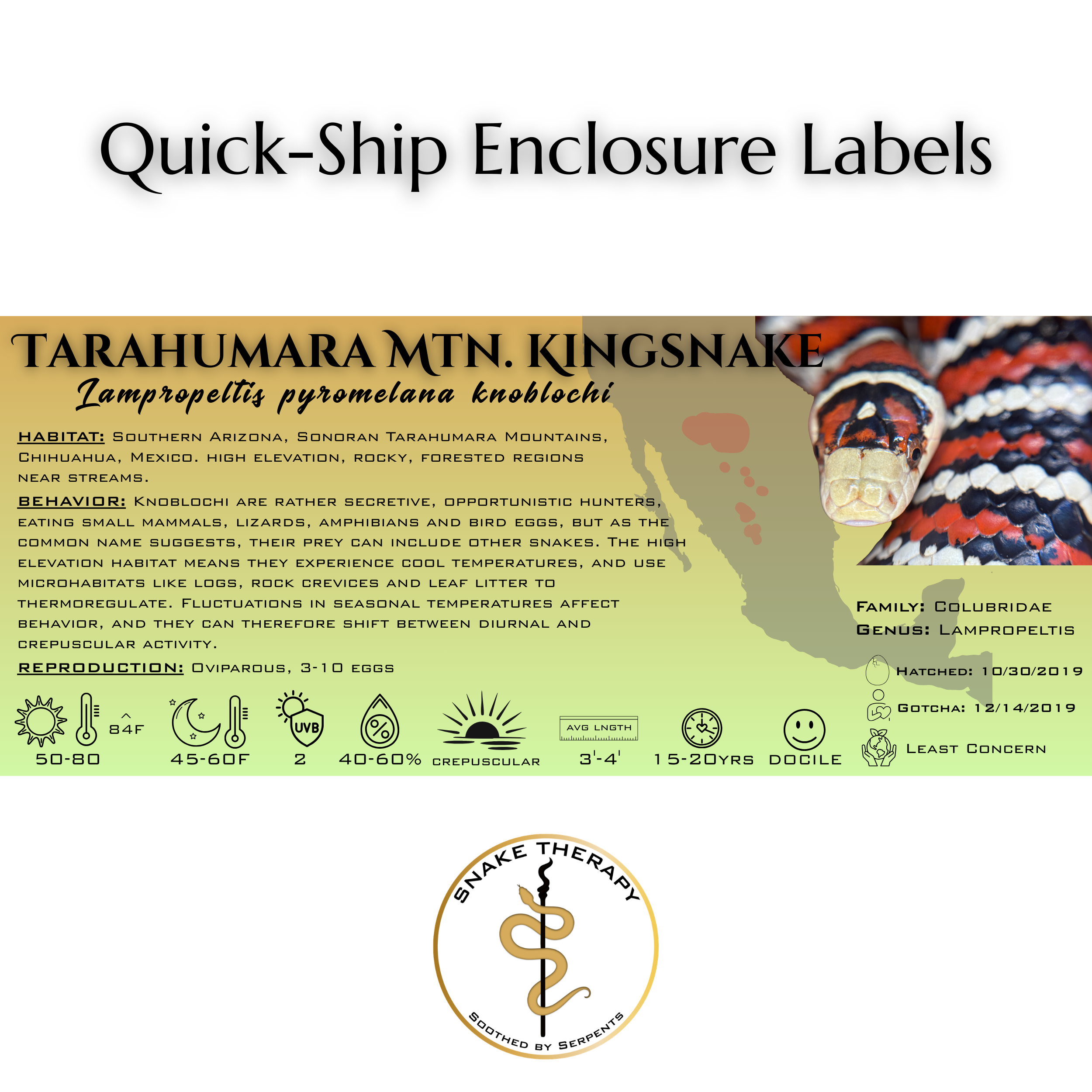 Quick-Ship Reptile Enclosure Labels by Snake Therapy