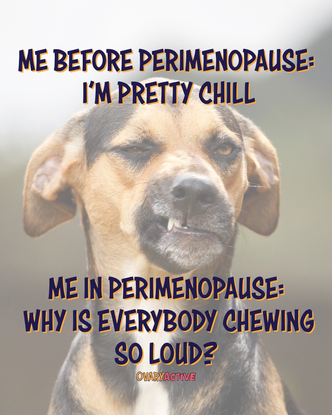 Perimenopause really said pick your struggle... (And today it&rsquo;s chewing.)
Can anyone else relate?

#PerimenopauseHumor #HormoneHealth #OvaryActive #MenopauseLife
