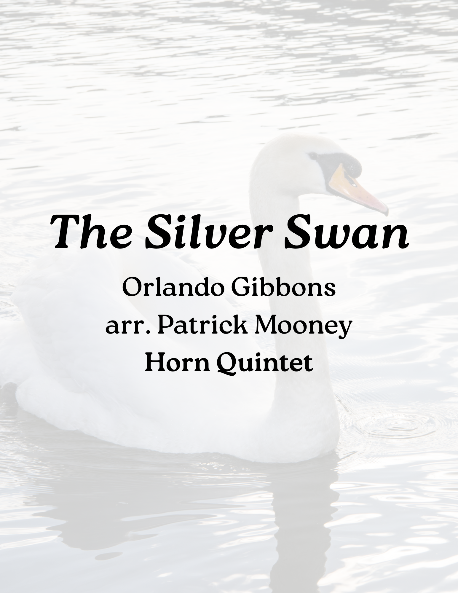 The Silver Swan