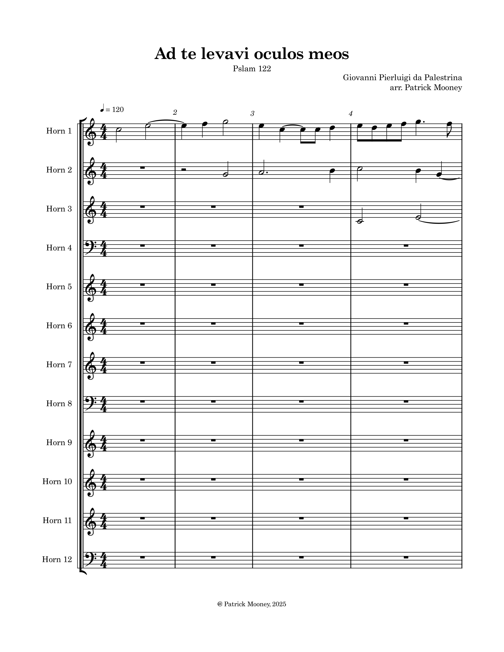 Ad te 12 Horn Sample-1.png