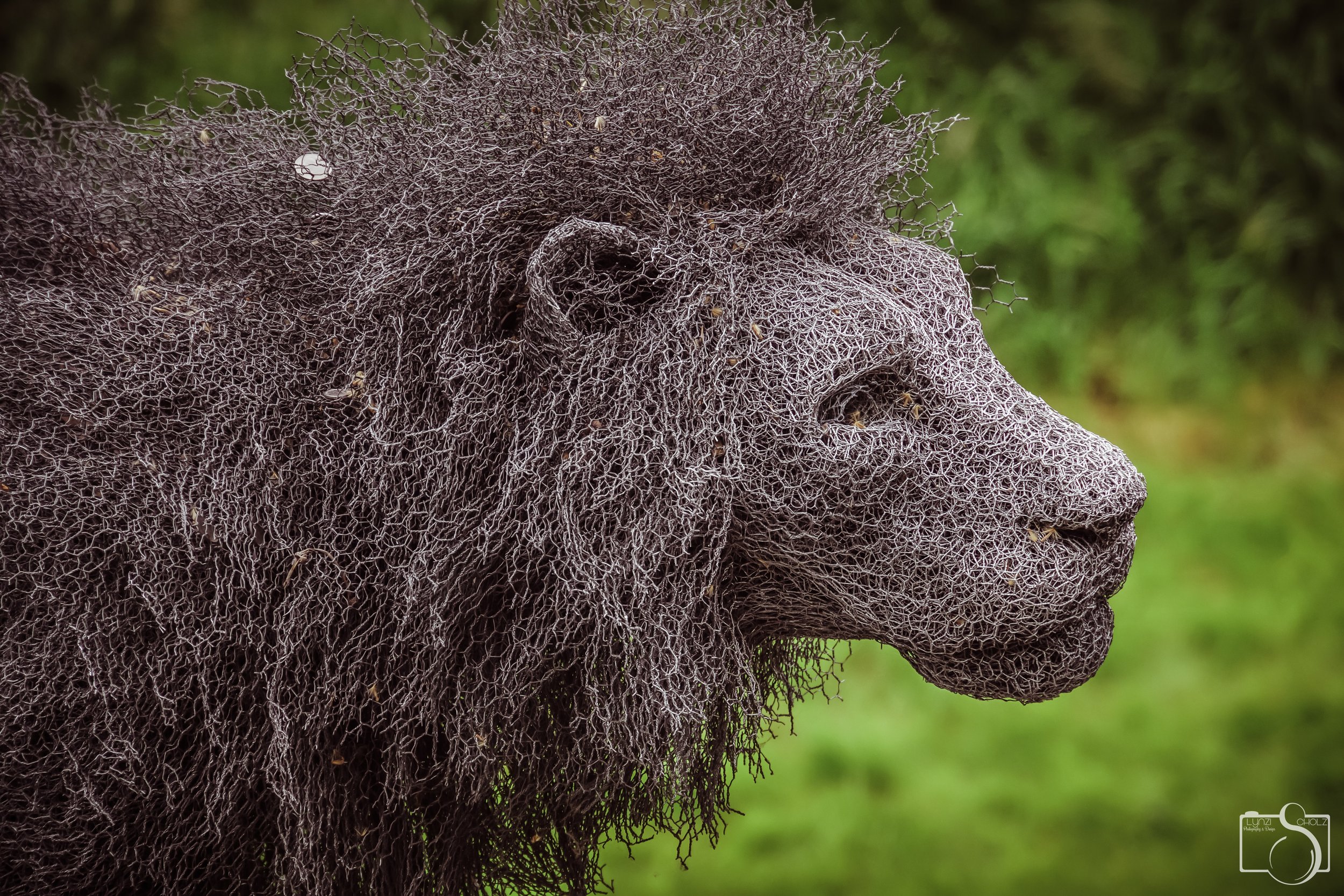 London Menagerie - Photo on Canvas
Private Collector. Joliet, IL