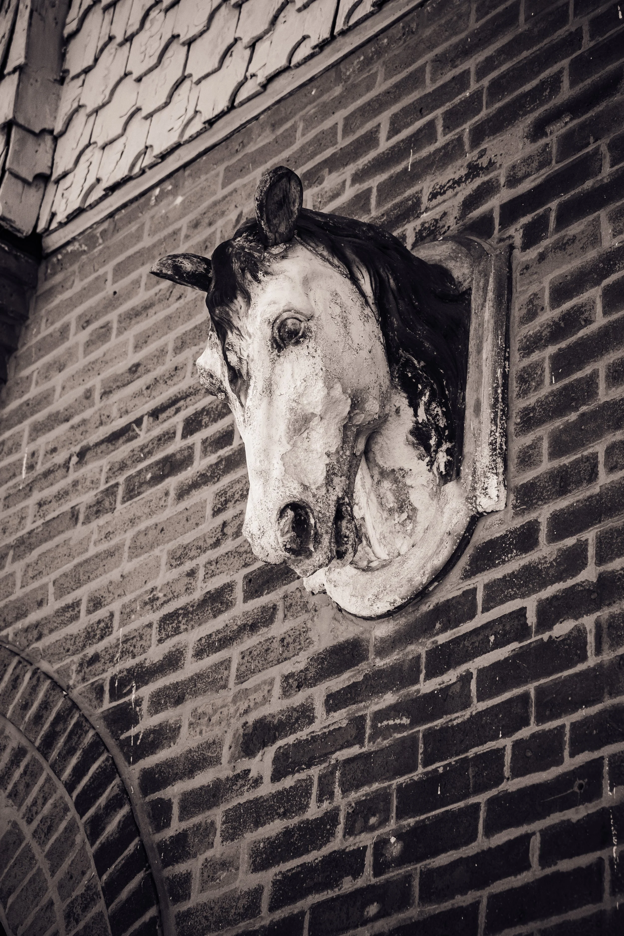 6.4.24 Pullman-04791.JPG