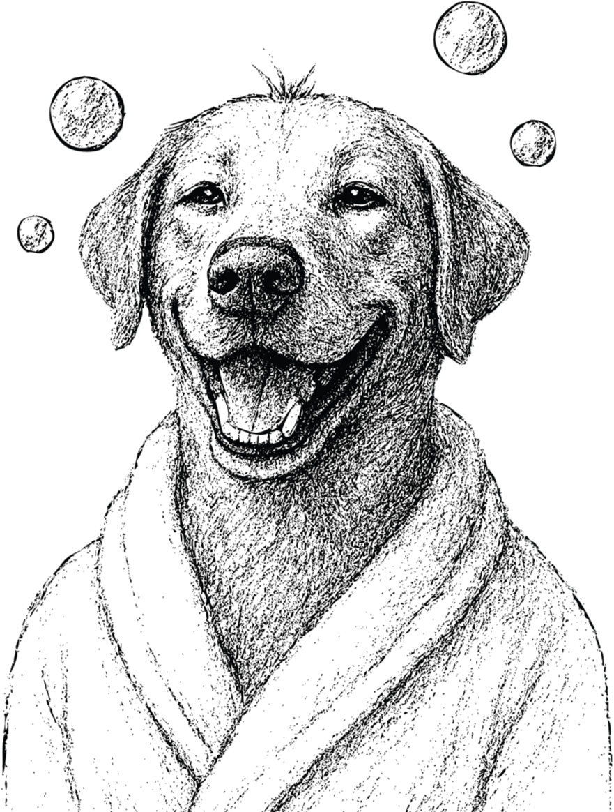 Dapper Dogs Day Spa Illustration
